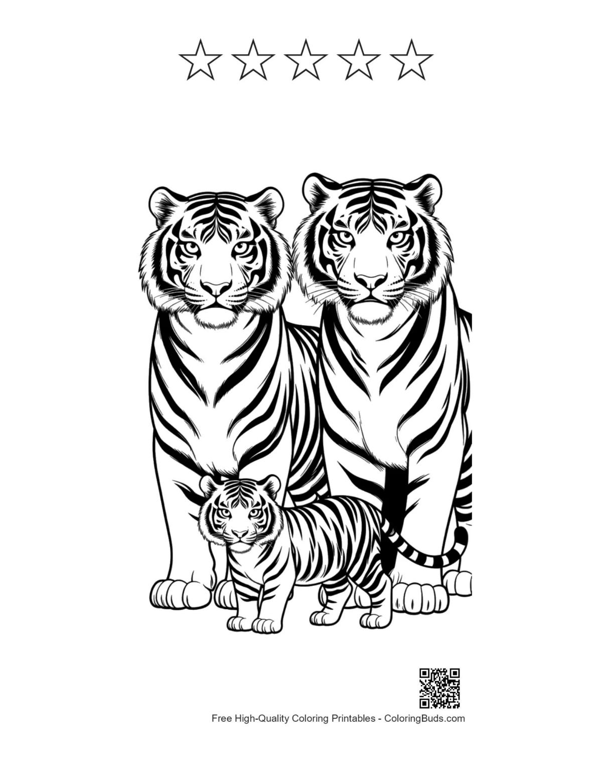 Bengal tiger family with 5 star outlines