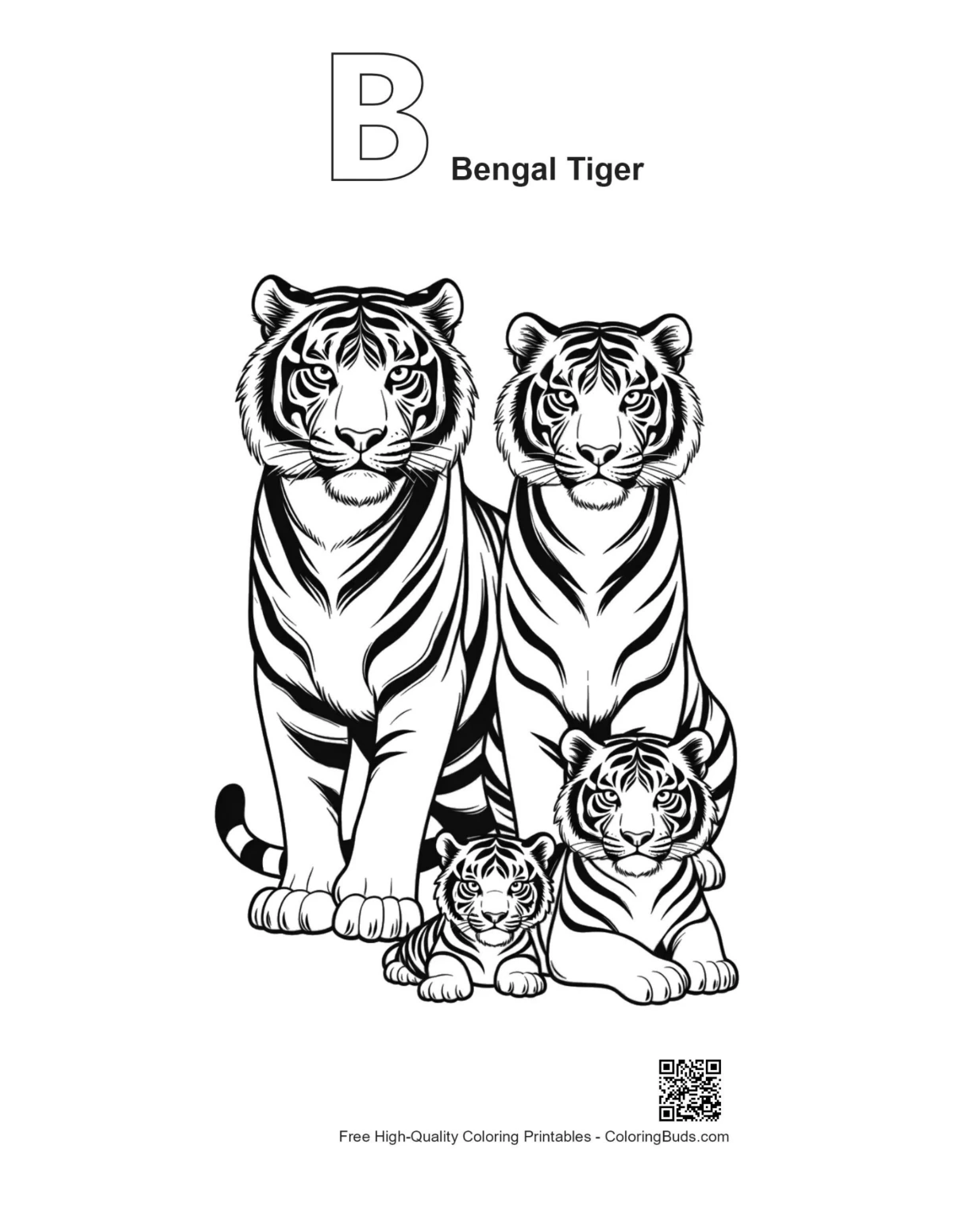 Bengal tiger portrait alphabet B outline printable