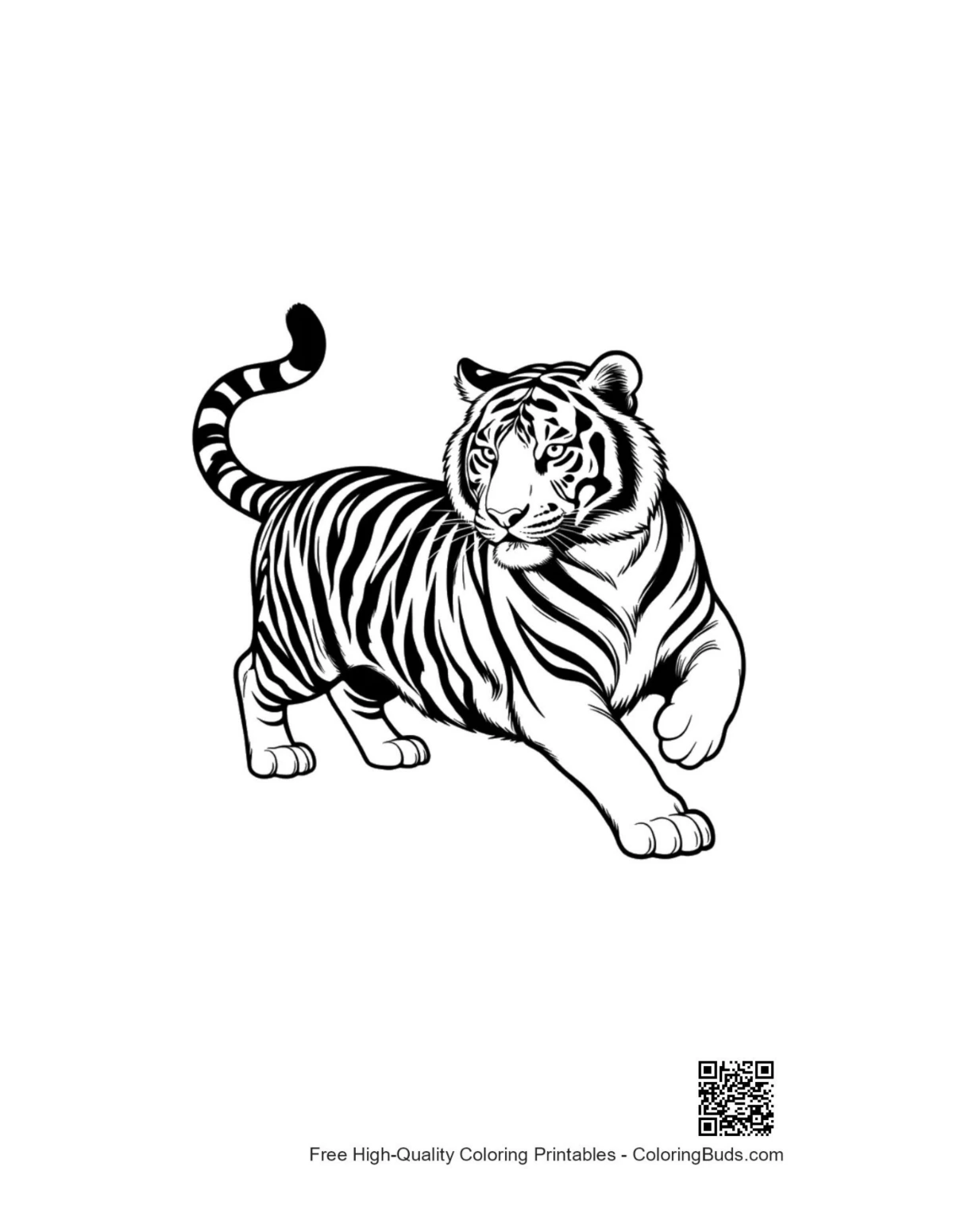 Bengal tiger stalking forward printable coloring page