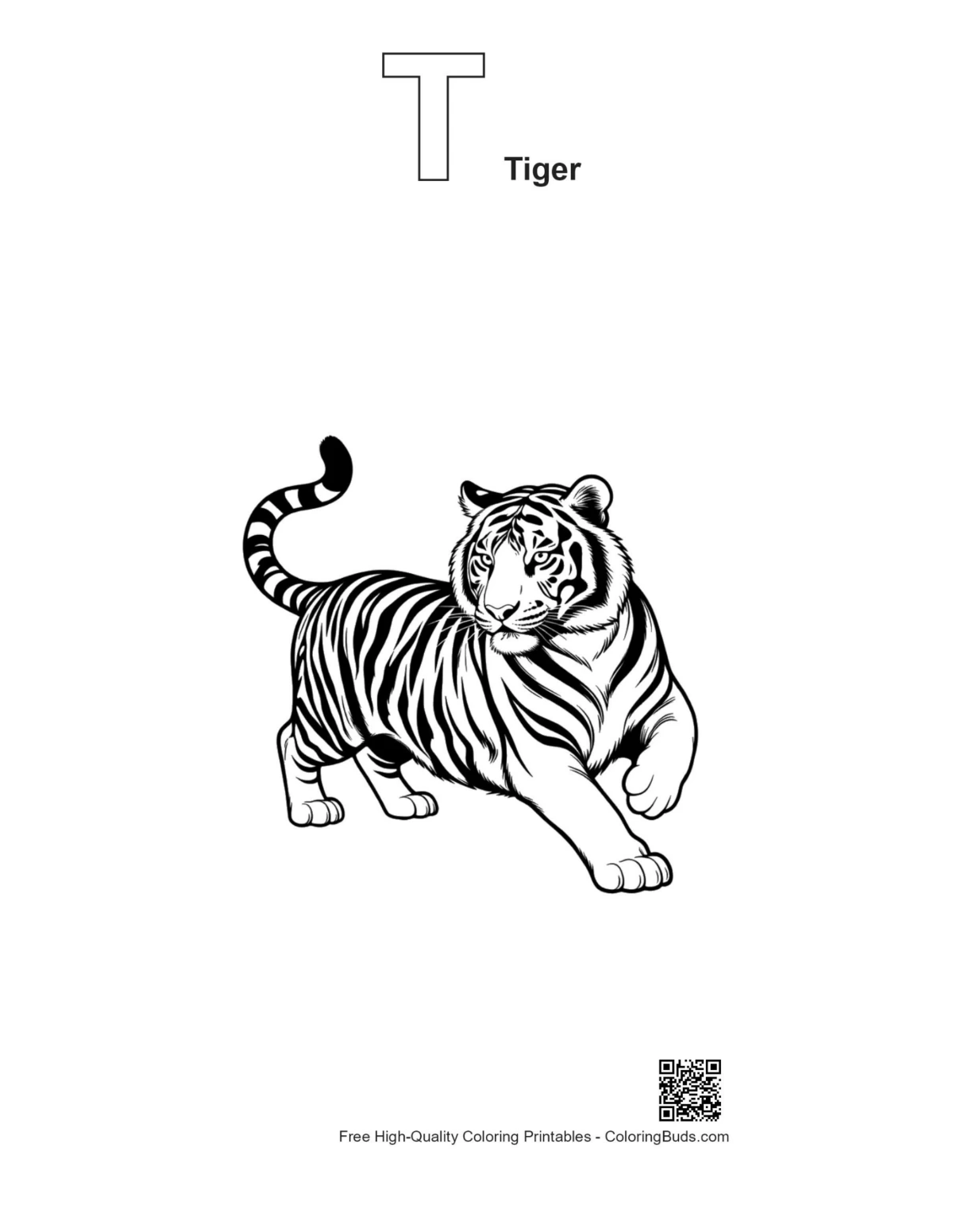 Bengal tiger stalking outline with alphabet T tiger