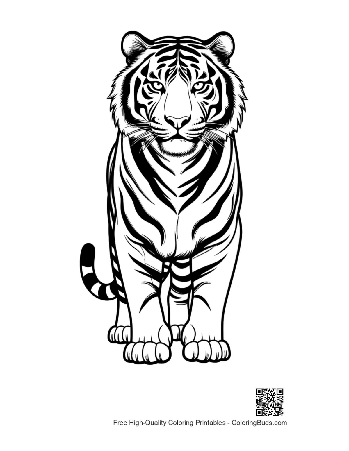 Fierce Bengal tiger line art printable
