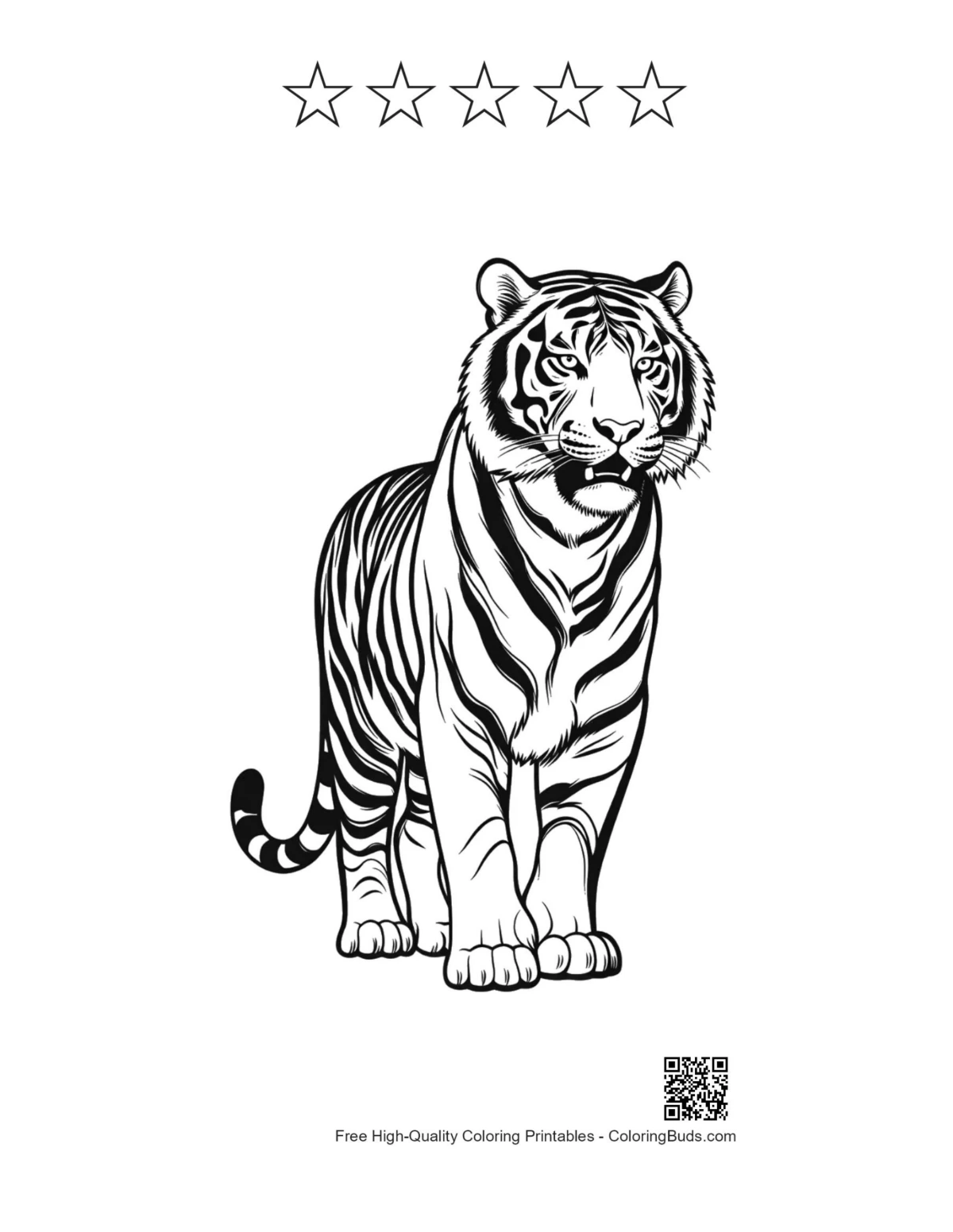 Roaring tiger printable with 5-star outlines