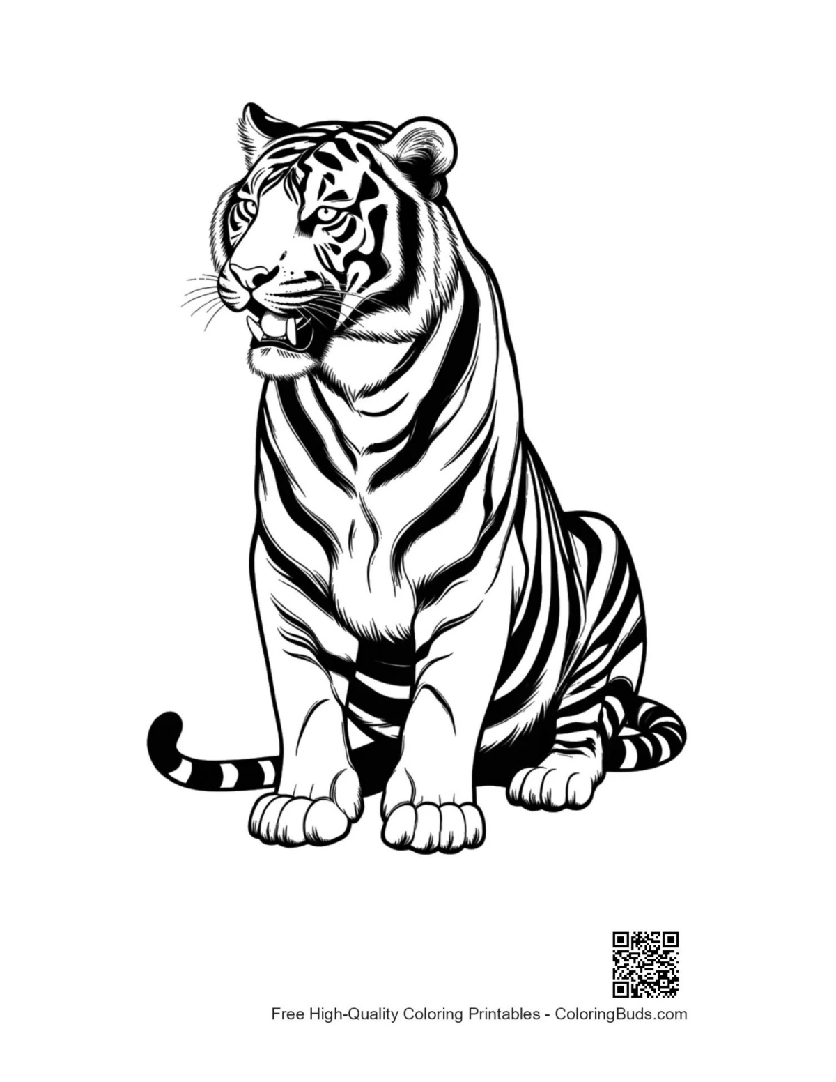 Fierce Bengal tiger roaring boldly