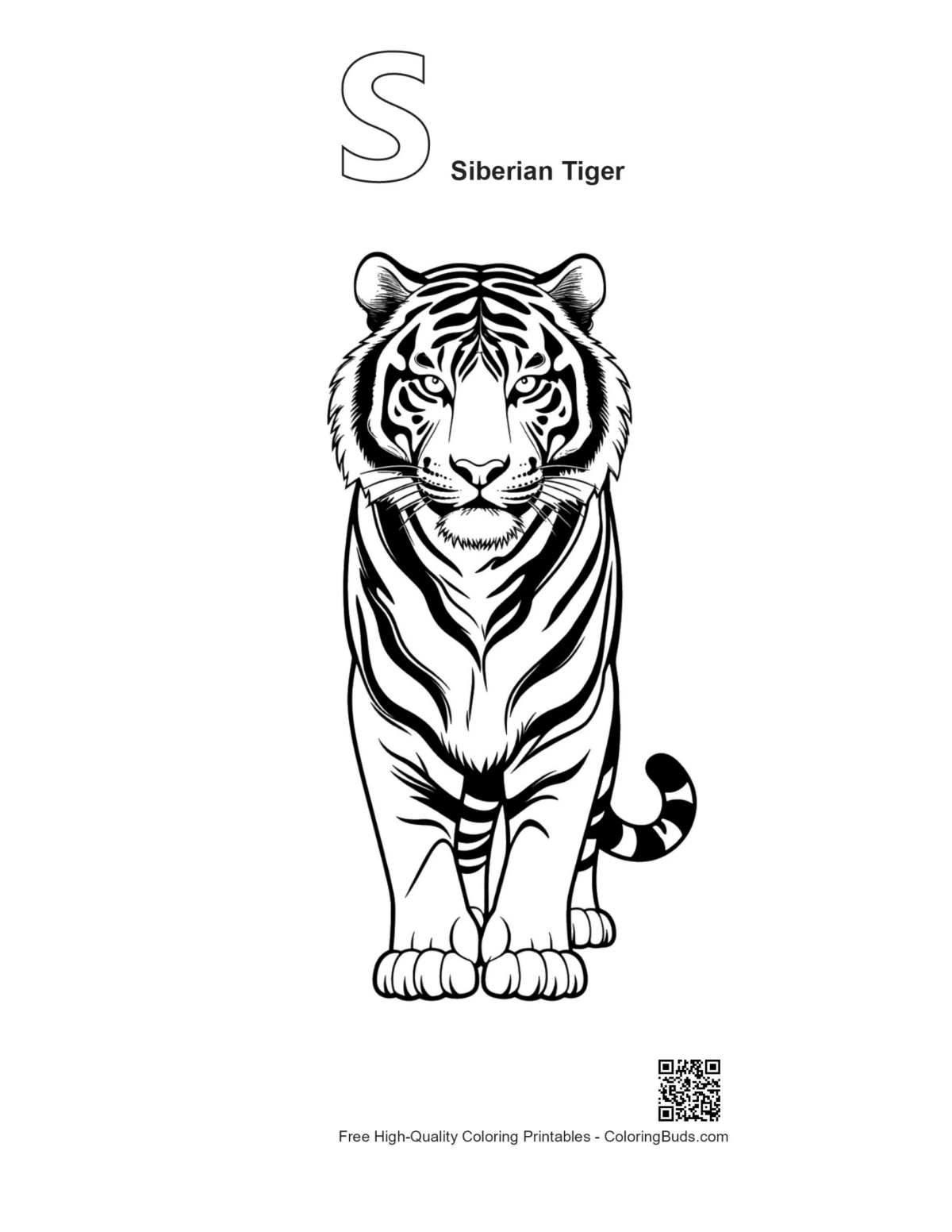 Dibujo lineal para imprimir de un tigre siberiano con contorno de la letra S.