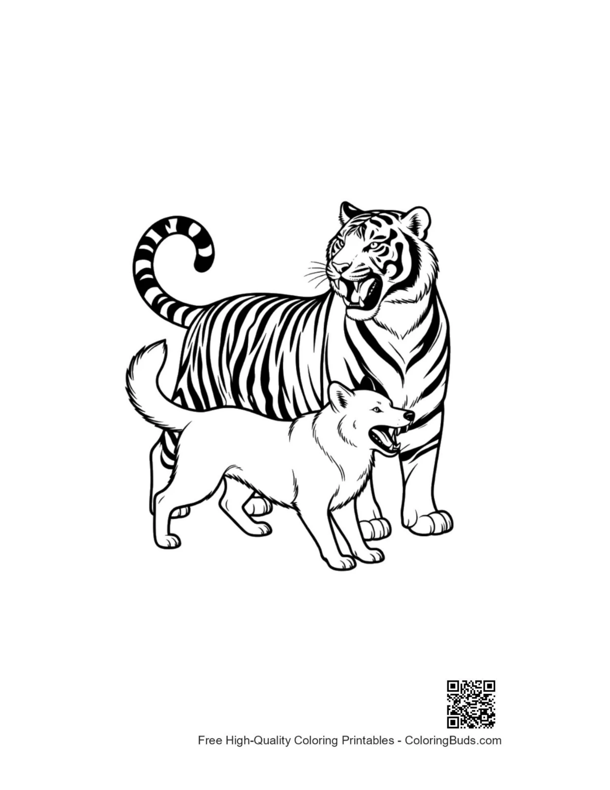 Siberian tiger wolf howling outline