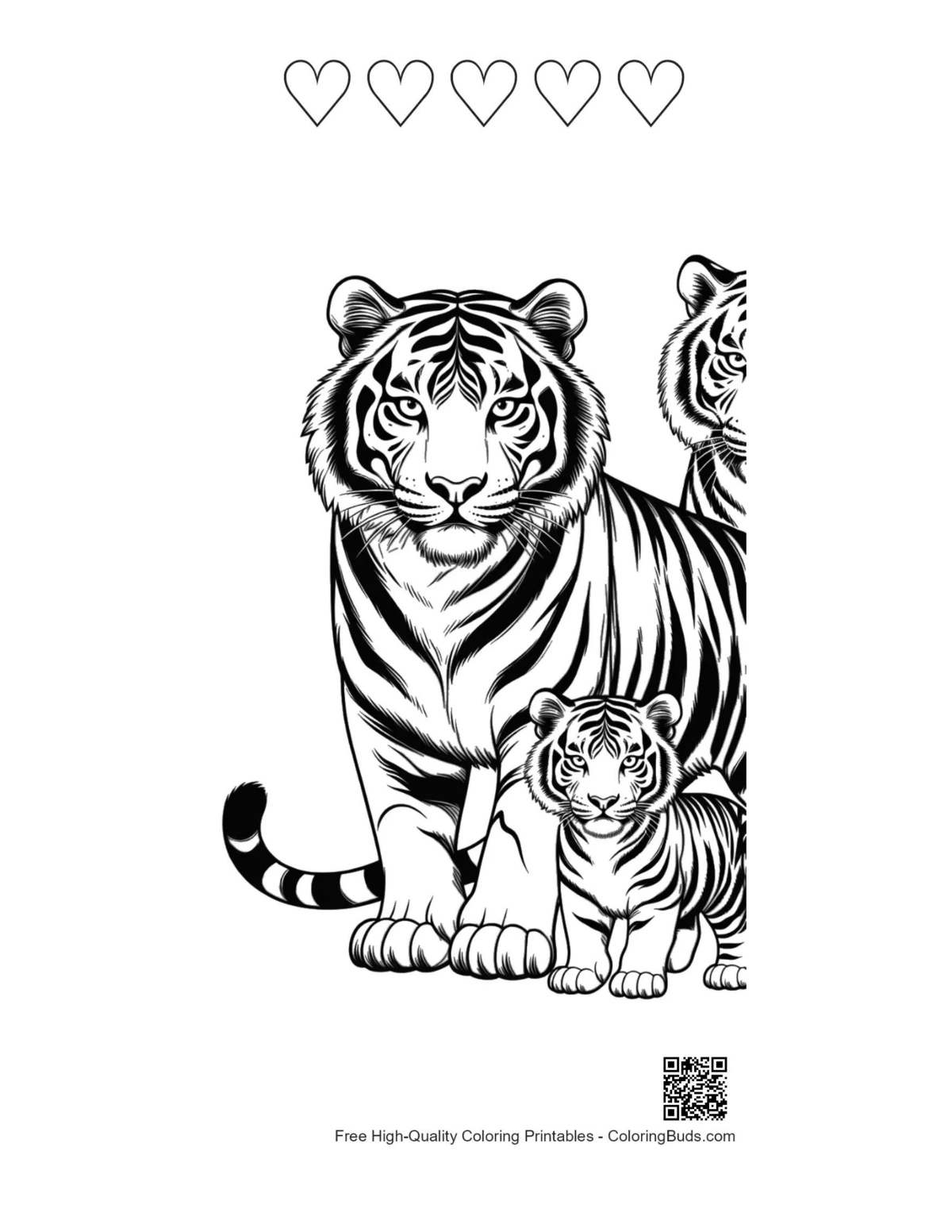 Retrato de una familia de tigres siberianos con 5 contornos de corazones para colorear.