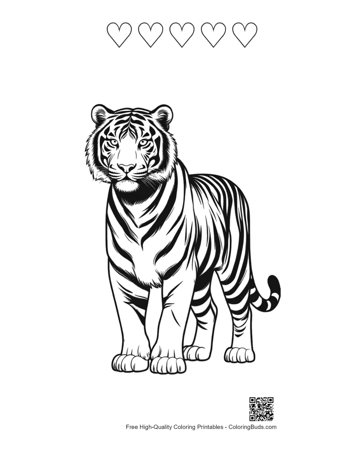 Majestic white tiger printable with 5 heart outlines