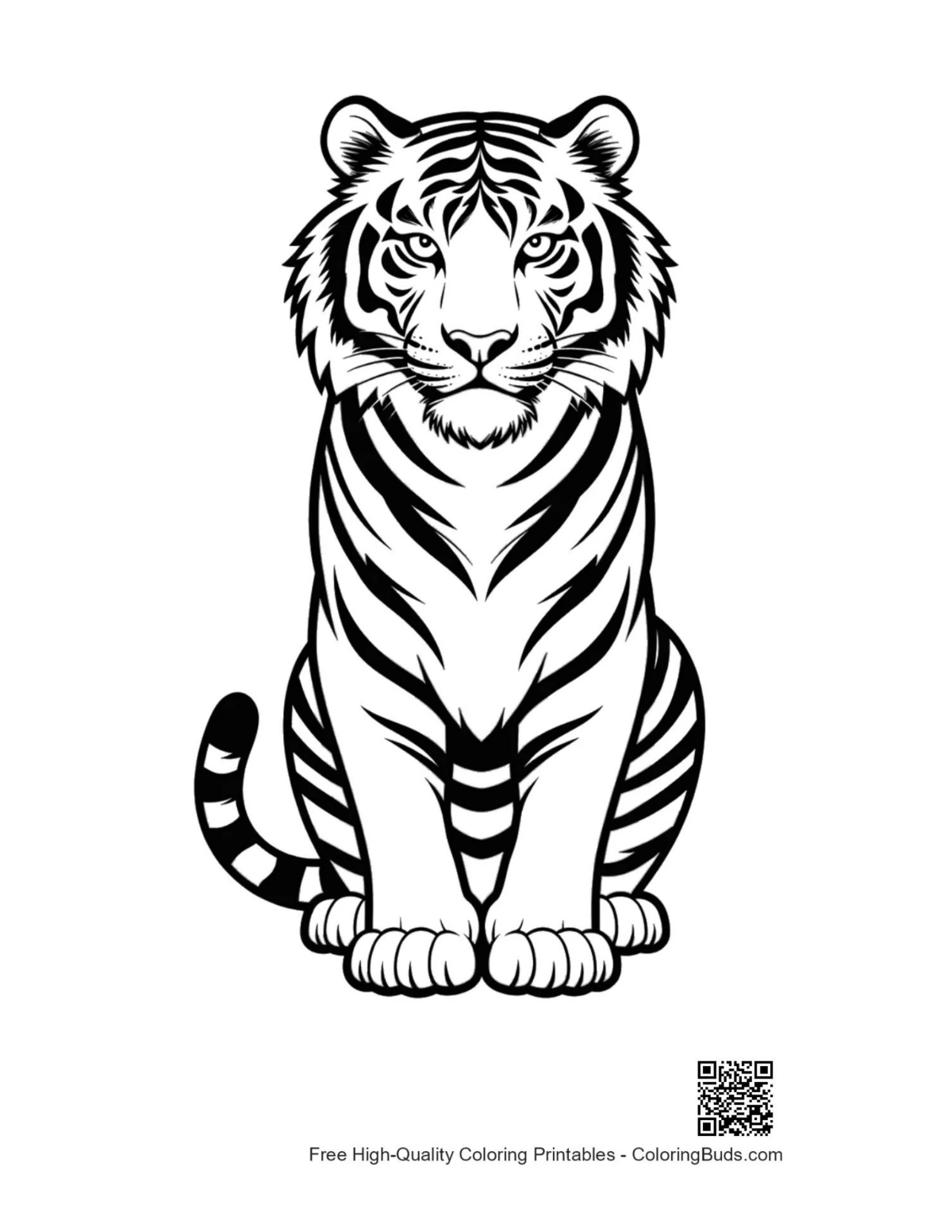 Majestic white tiger portrait print