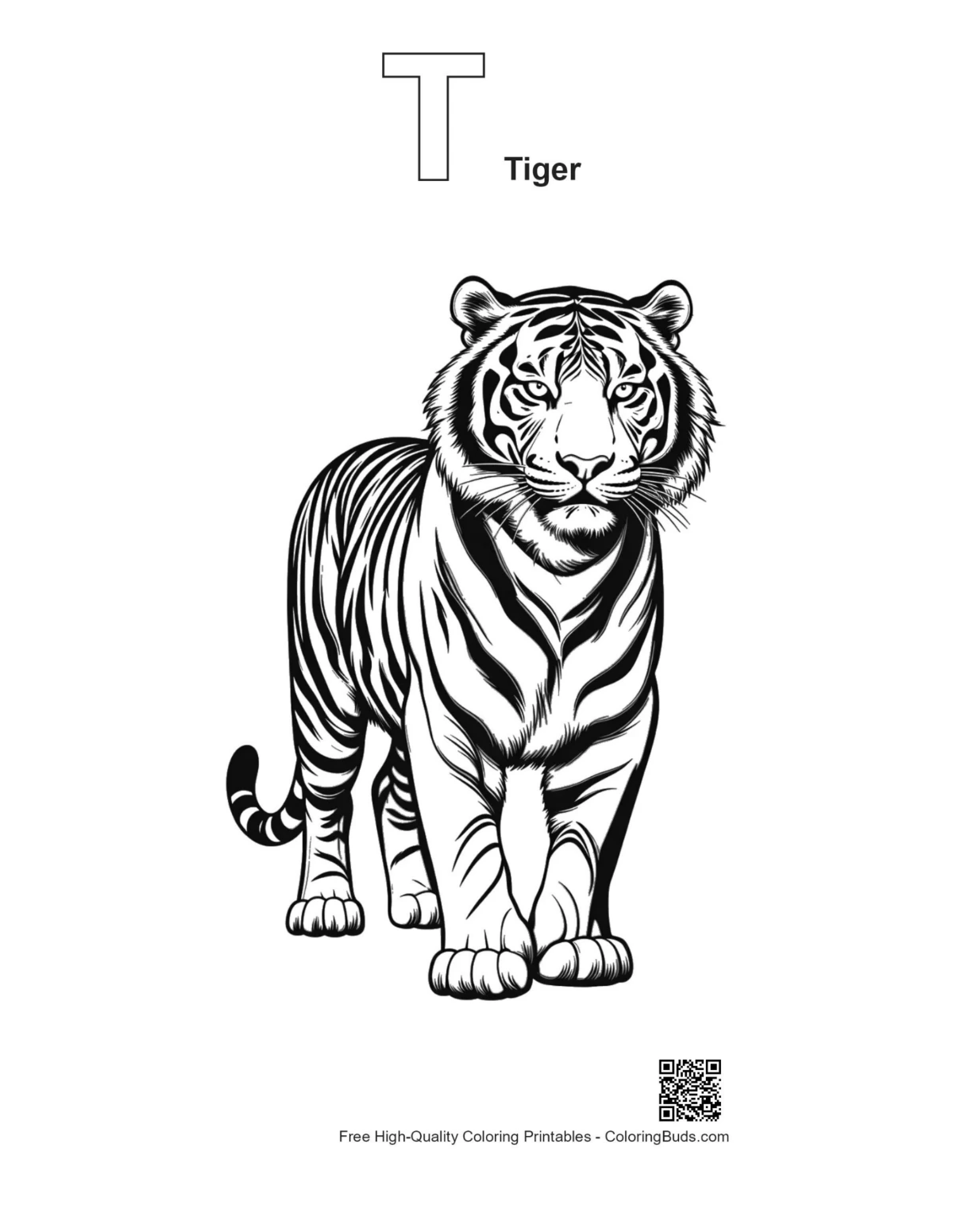 White tiger outline with alphabet T printable
