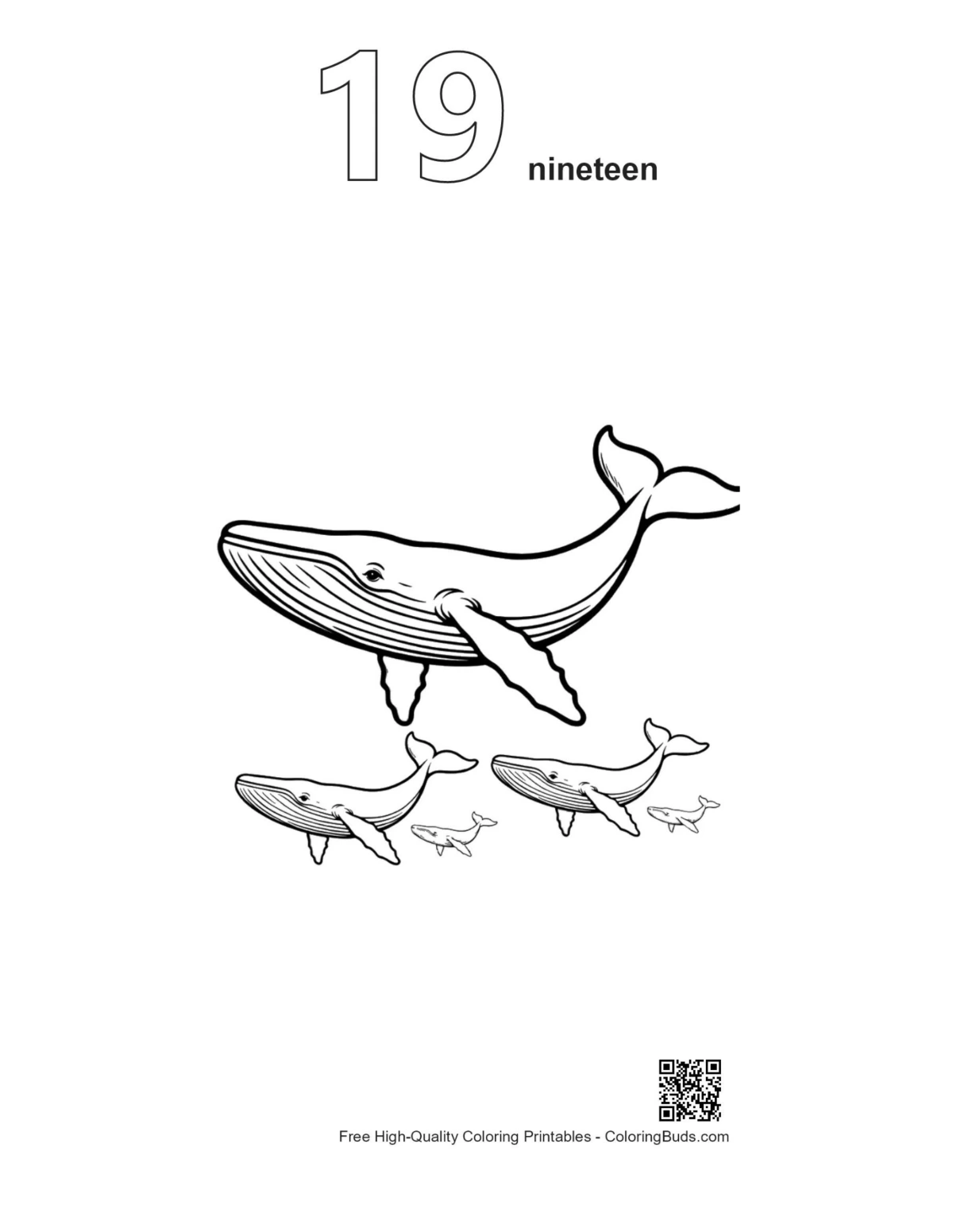 Blue whale family printable outline numbered 19