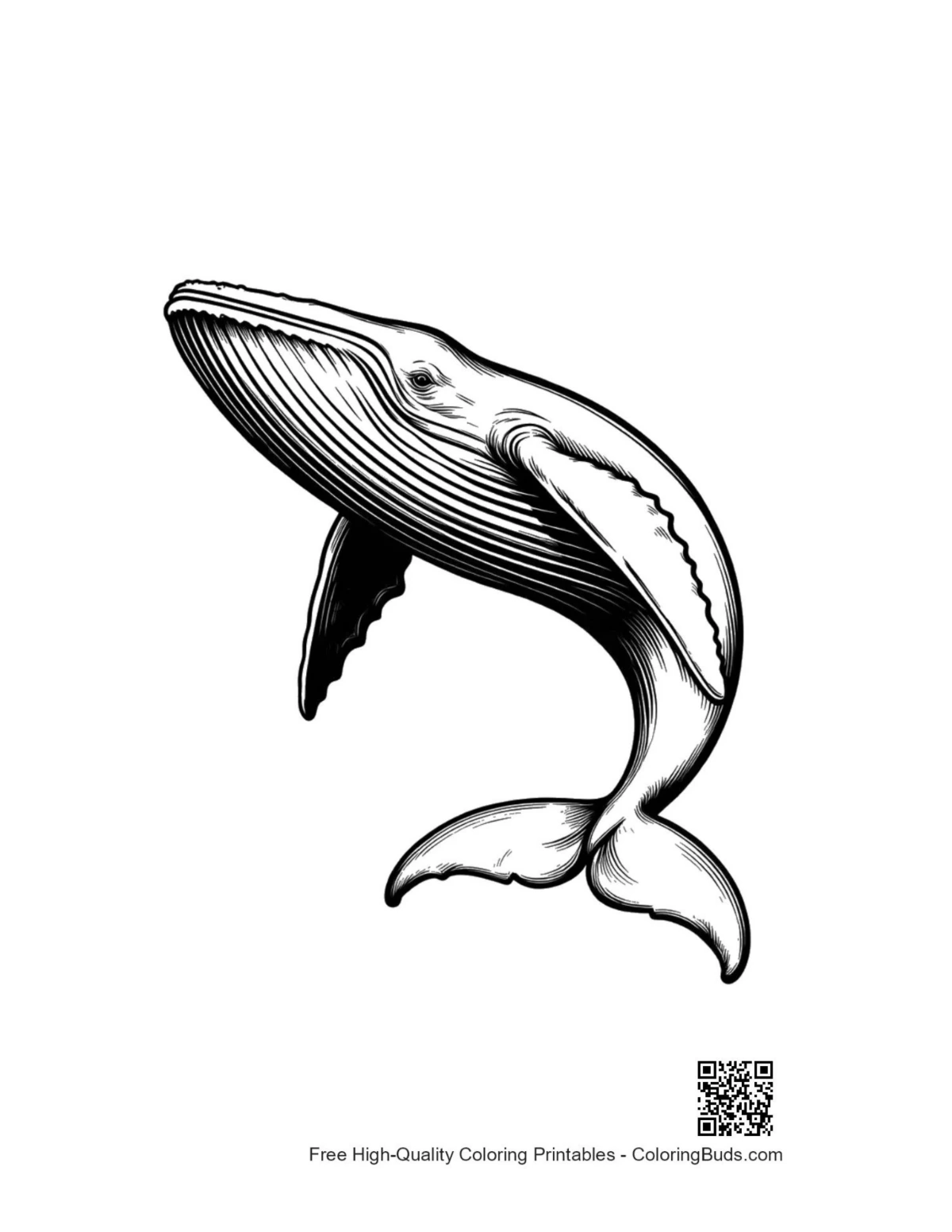 Blue whale leaping gracefully ocean illustration