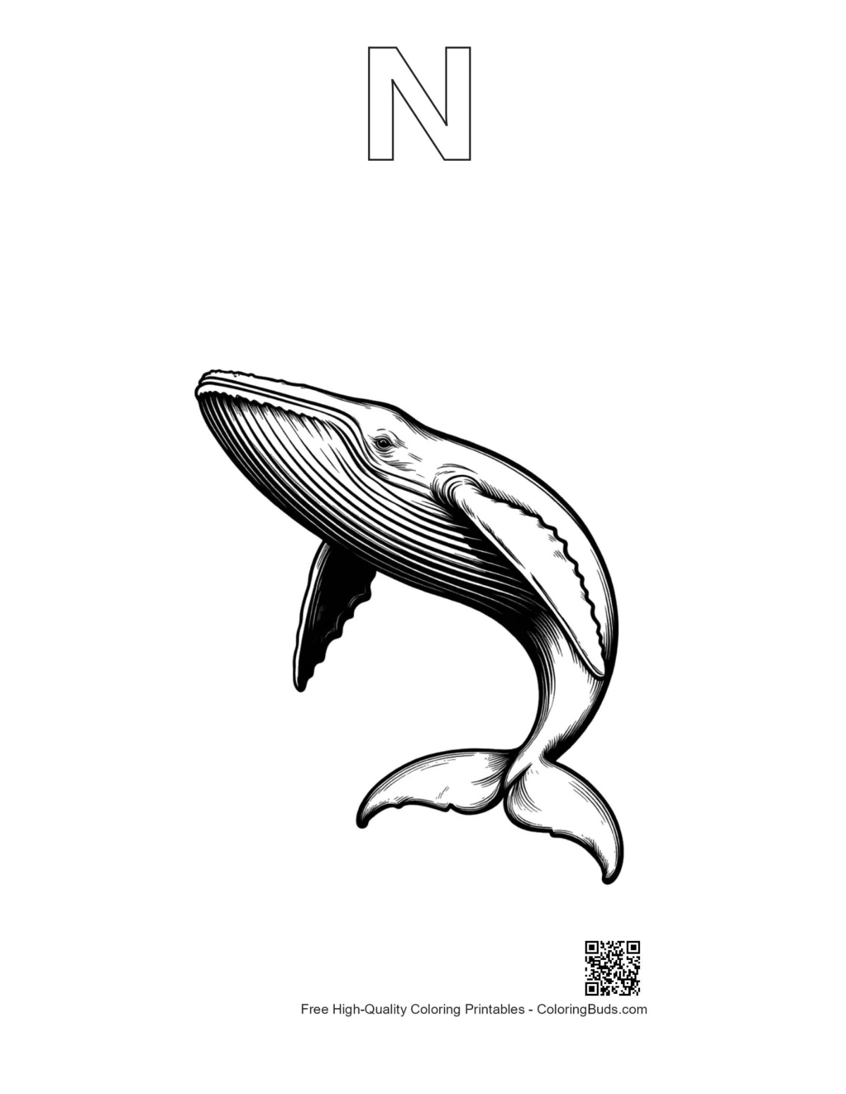 Blue whale leaping outline with alphabet letter N