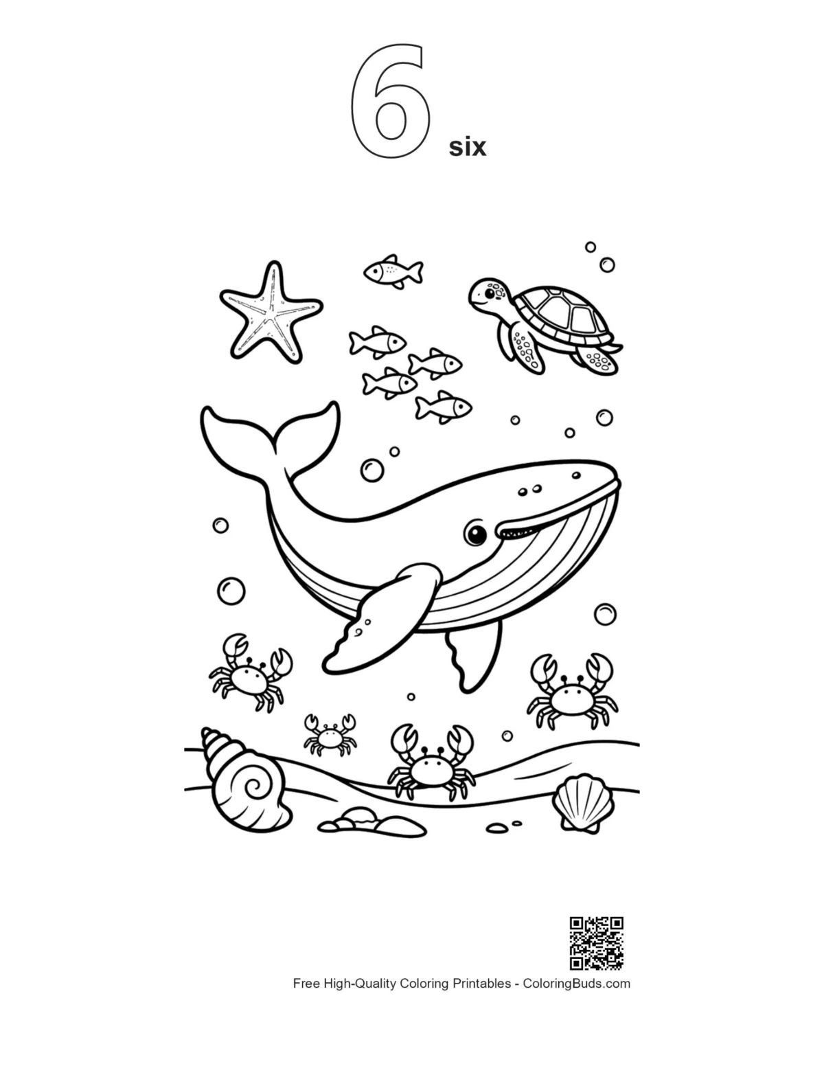 Blue whale coloring outline number 6 under sea