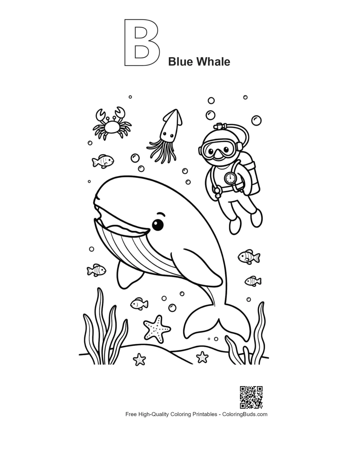 Blue whale alphabet B outline coloring page