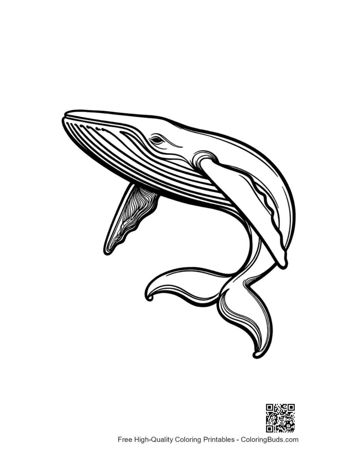 Leaping blue whale line art coloring printable