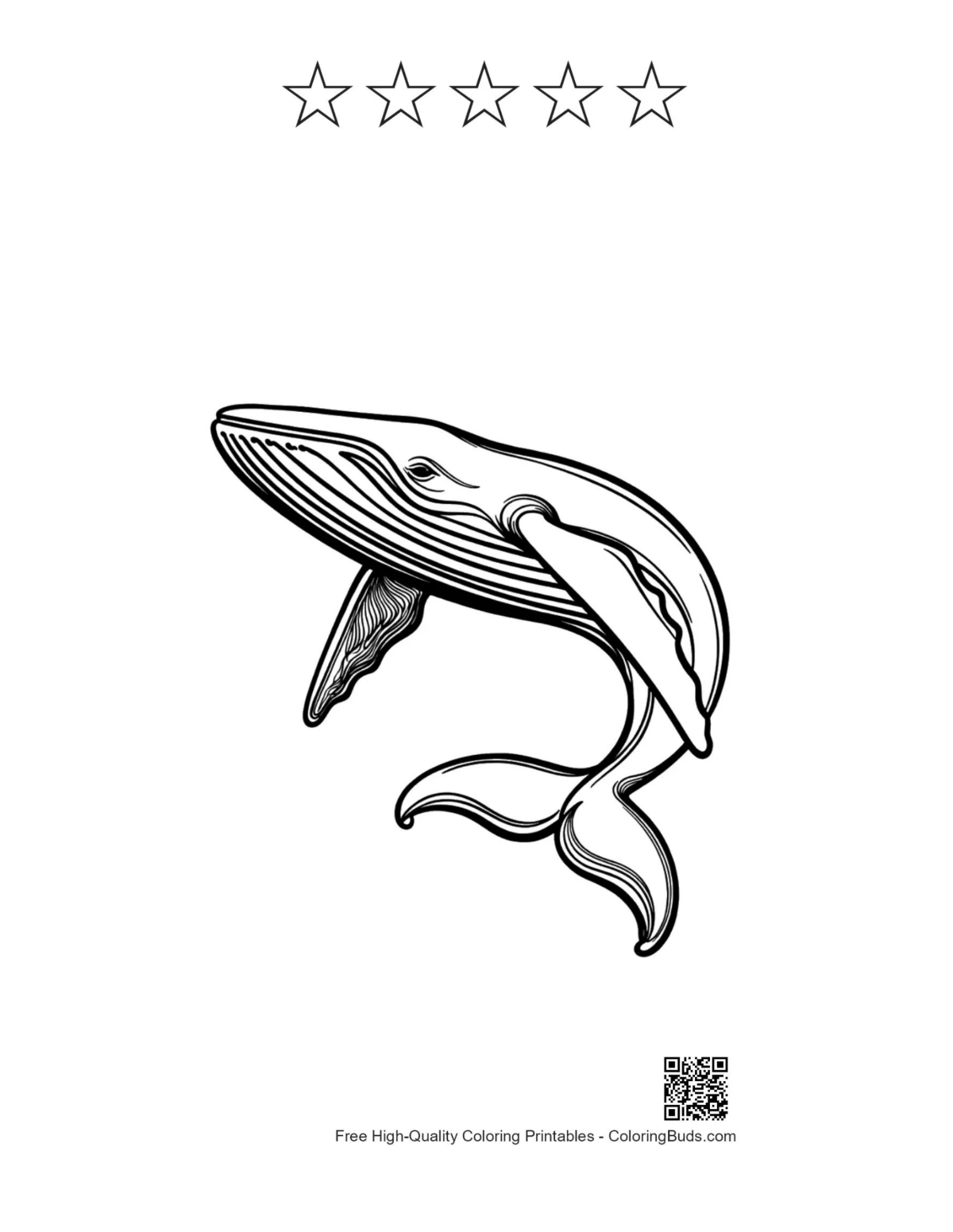 Leaping blue whale printable with 5 star outlines