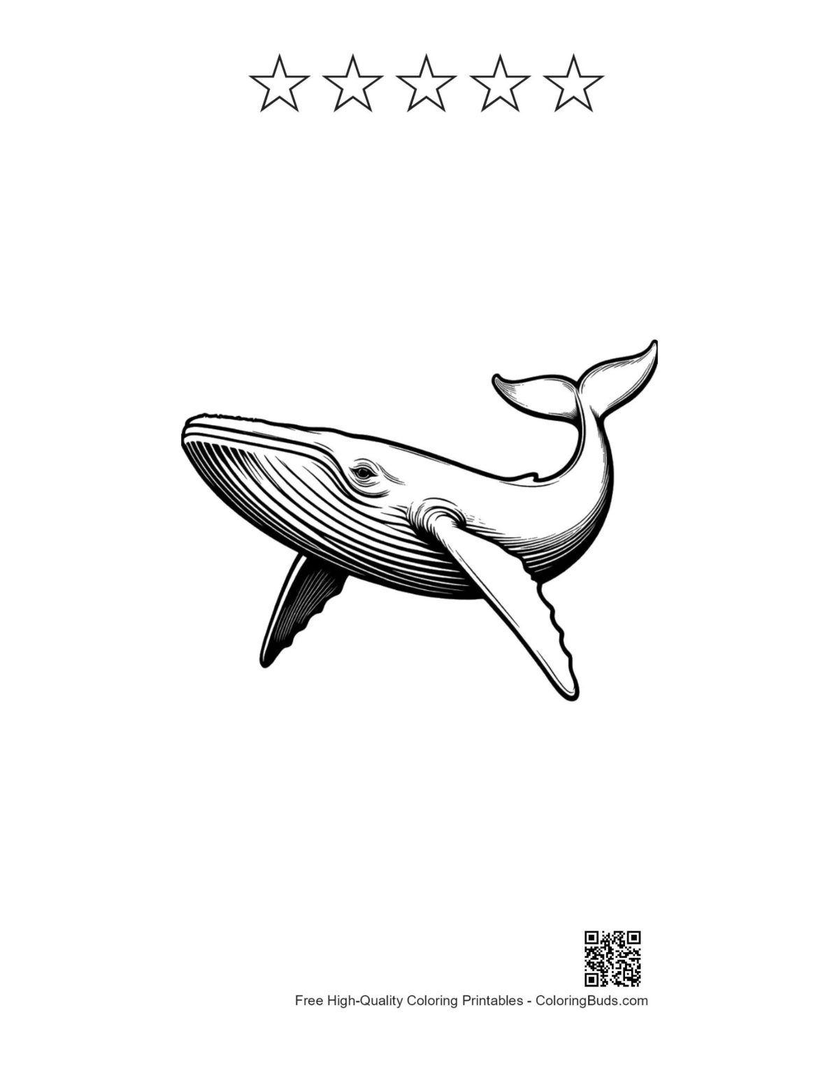 Blue whale flight printable with 5 star outlines