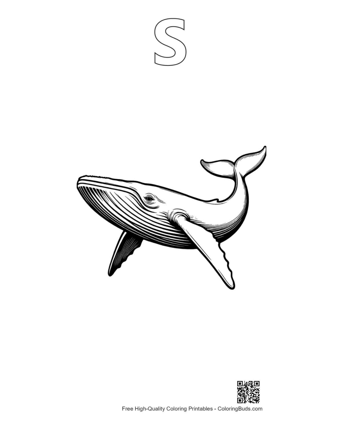 Blue whale flight outline with alphabet S printable