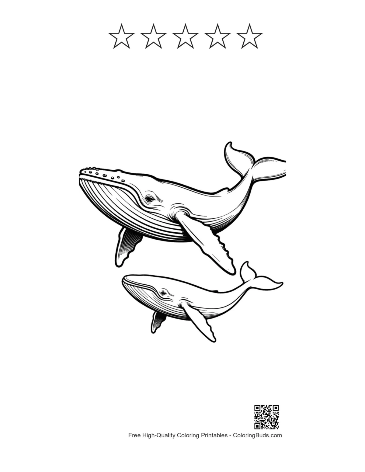 Blue whale printable with 5 star outlines