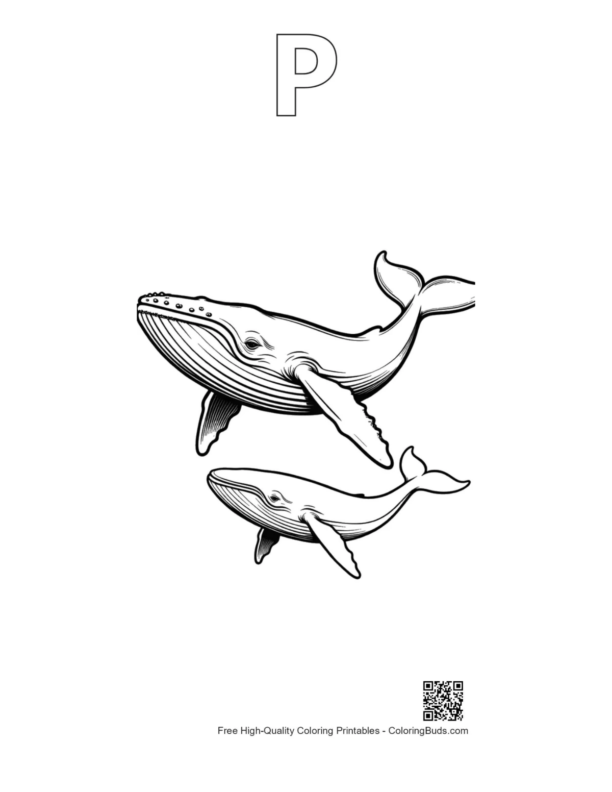 Blue whale printable outline with alphabet P
