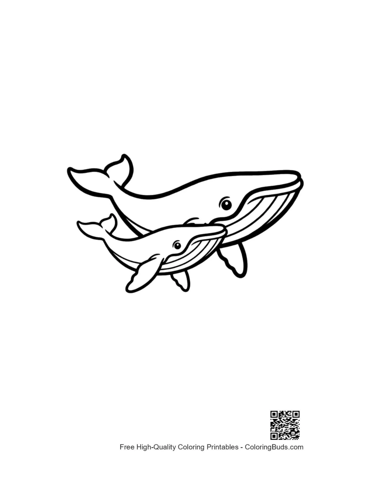 Mother blue whale and calf swimming together coloring page