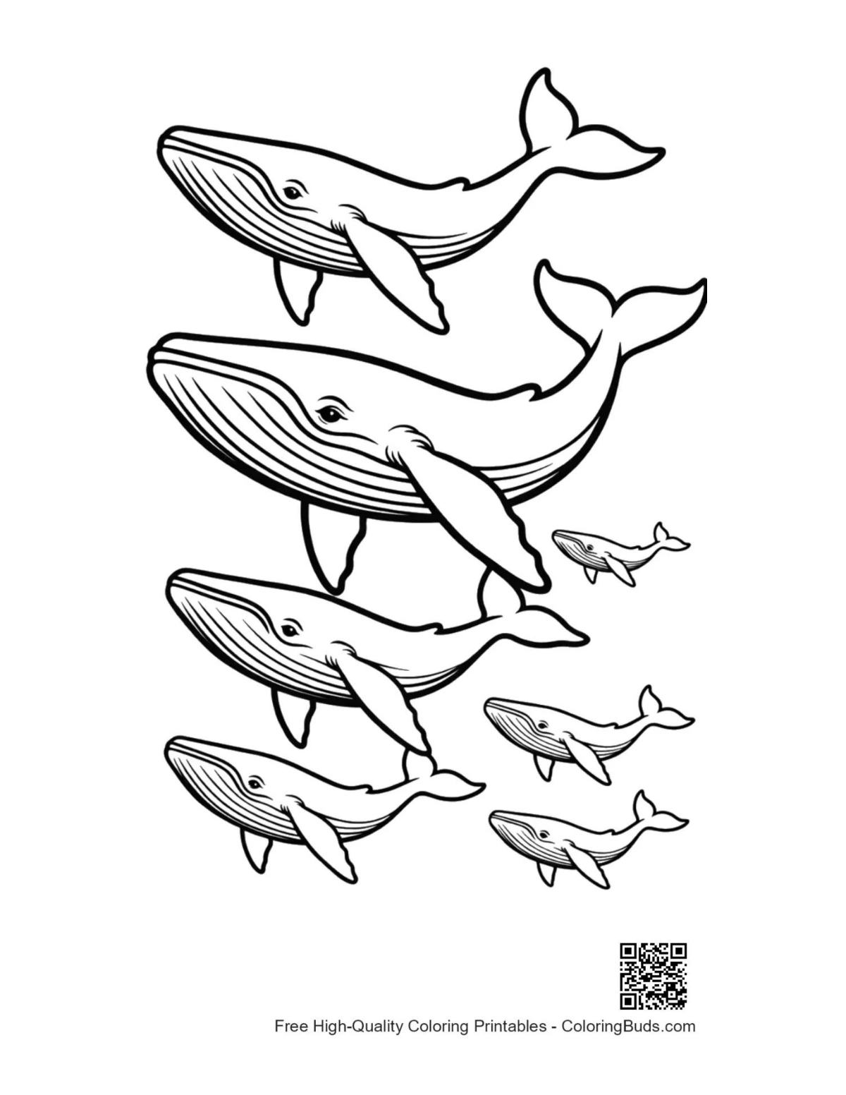 Playful blue whale family outline drawing