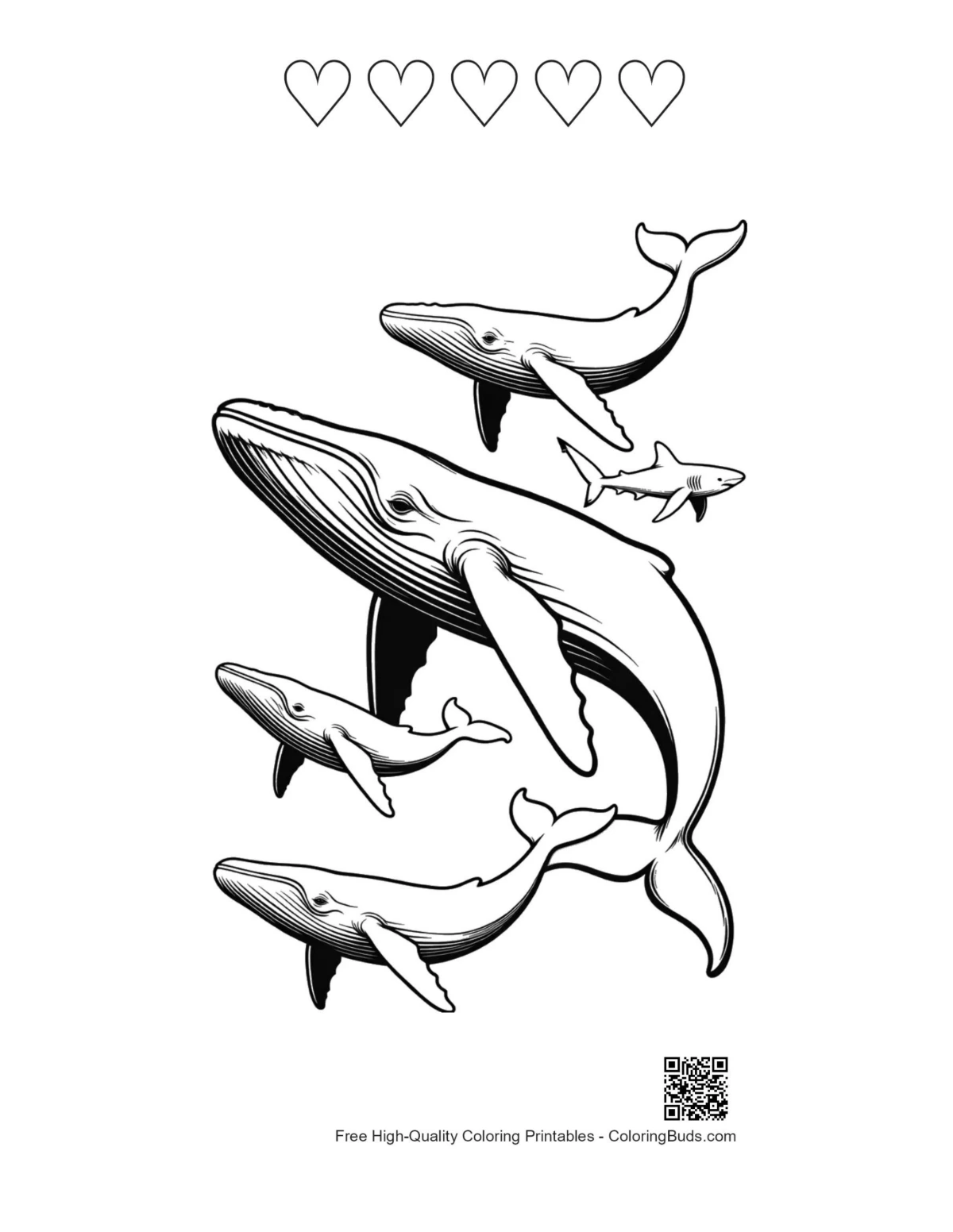 Blue whales shark line art printable 5 hearts