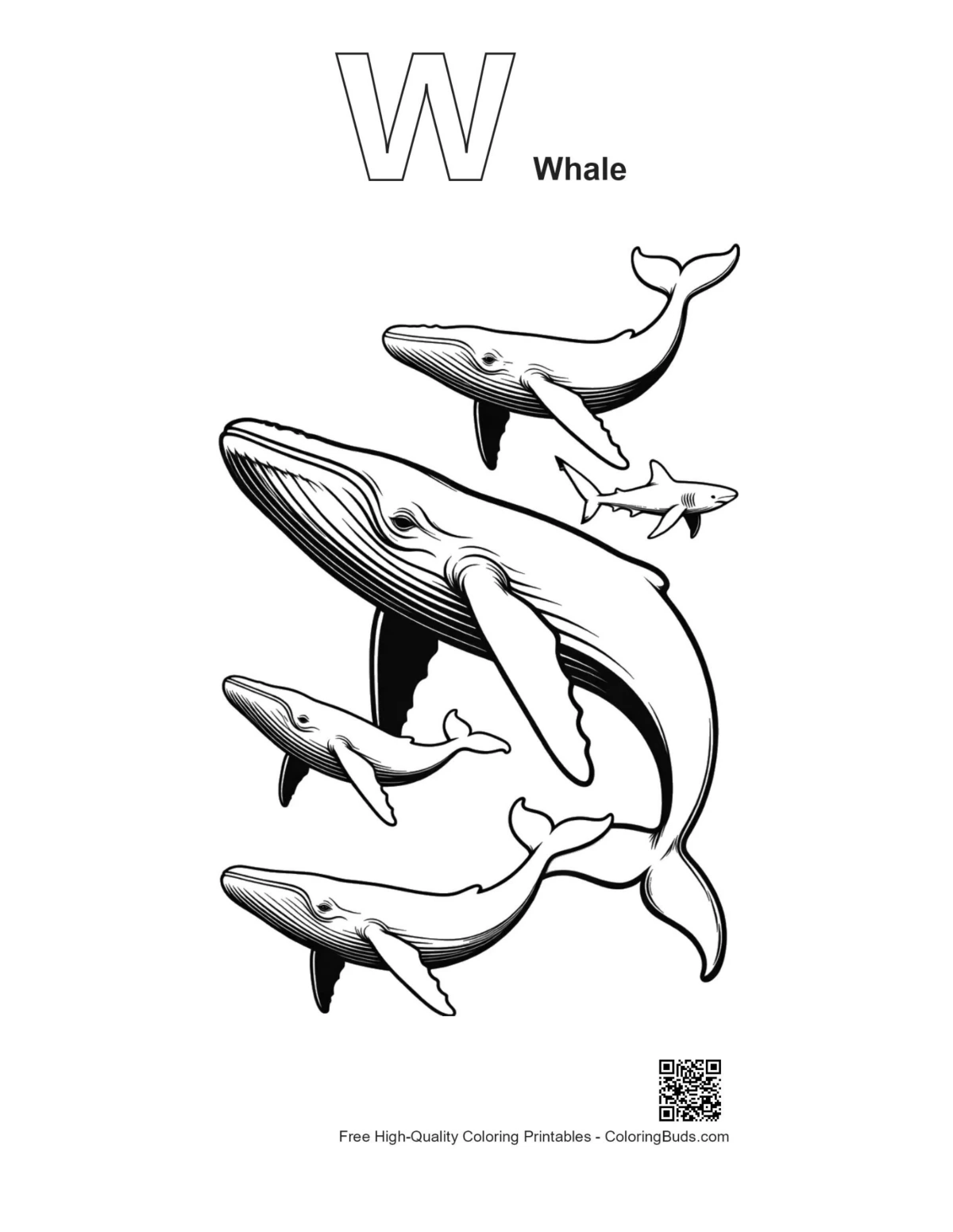 Playful blue whales shark line art alphabet whale outline