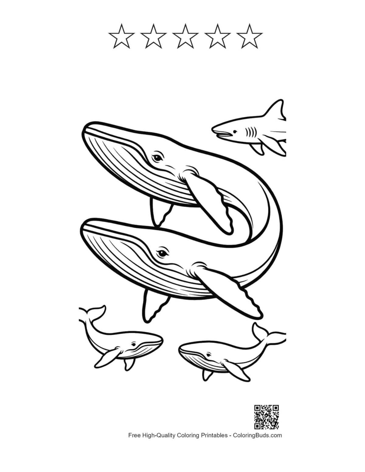 Blue whales shark outline with 5 stars printable