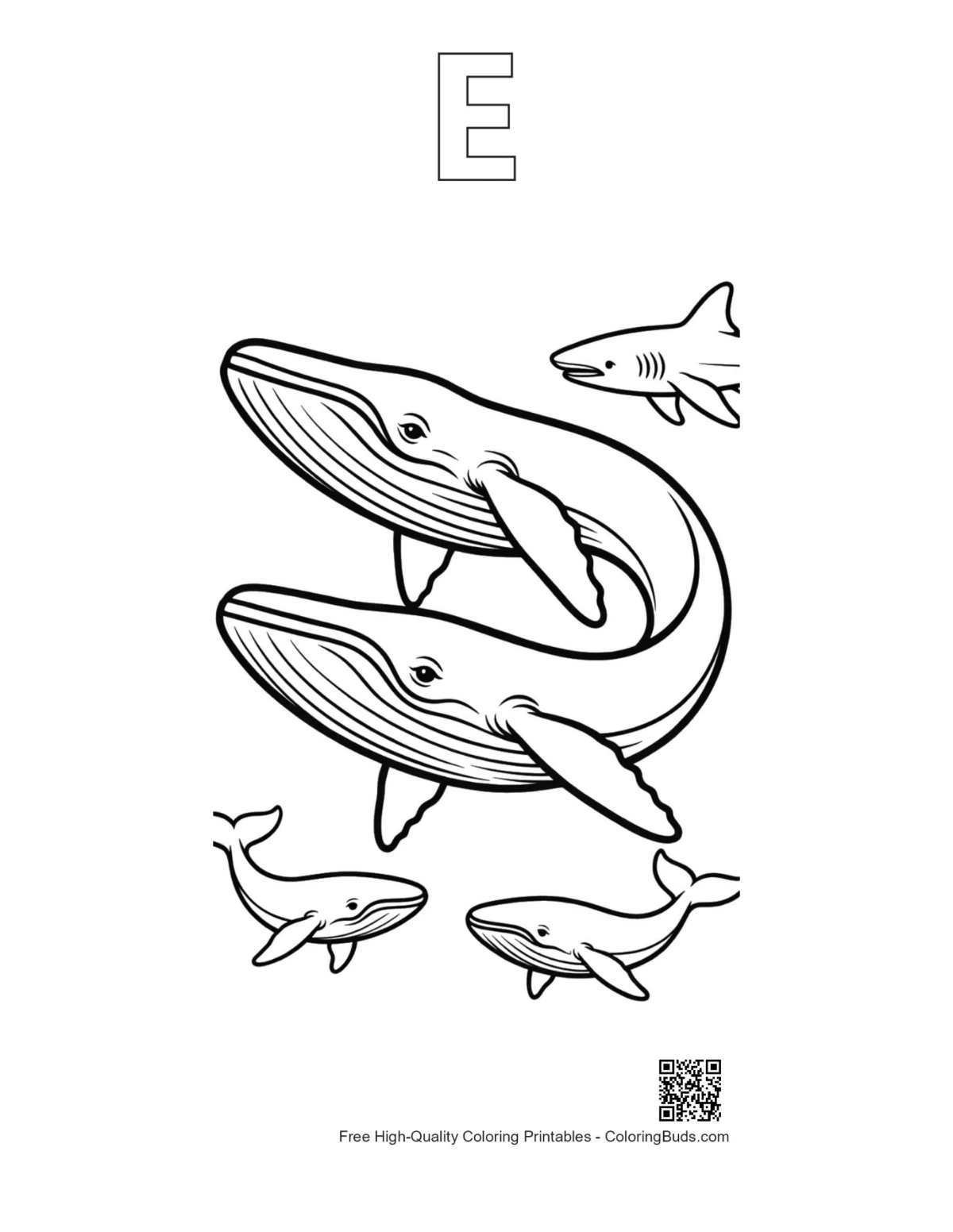 Playful blue whales shark art with alphabet E outline