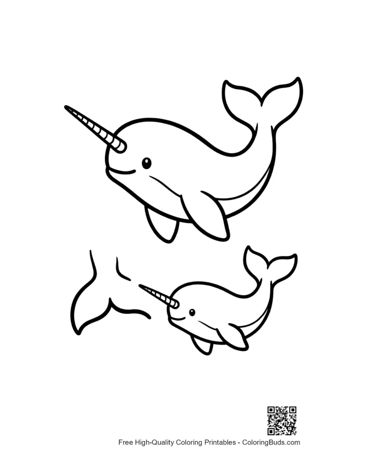 Adorable narwhal duo line art for coloring