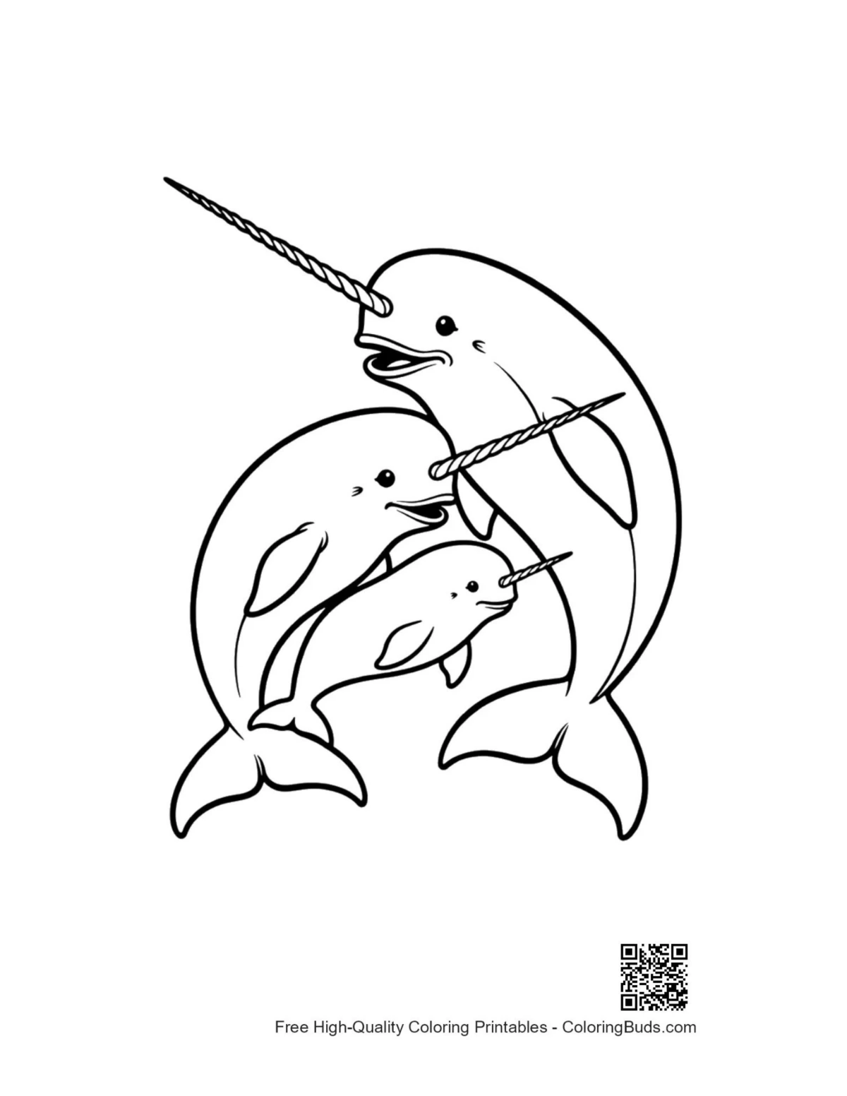 Playful narwhal family outline for coloring