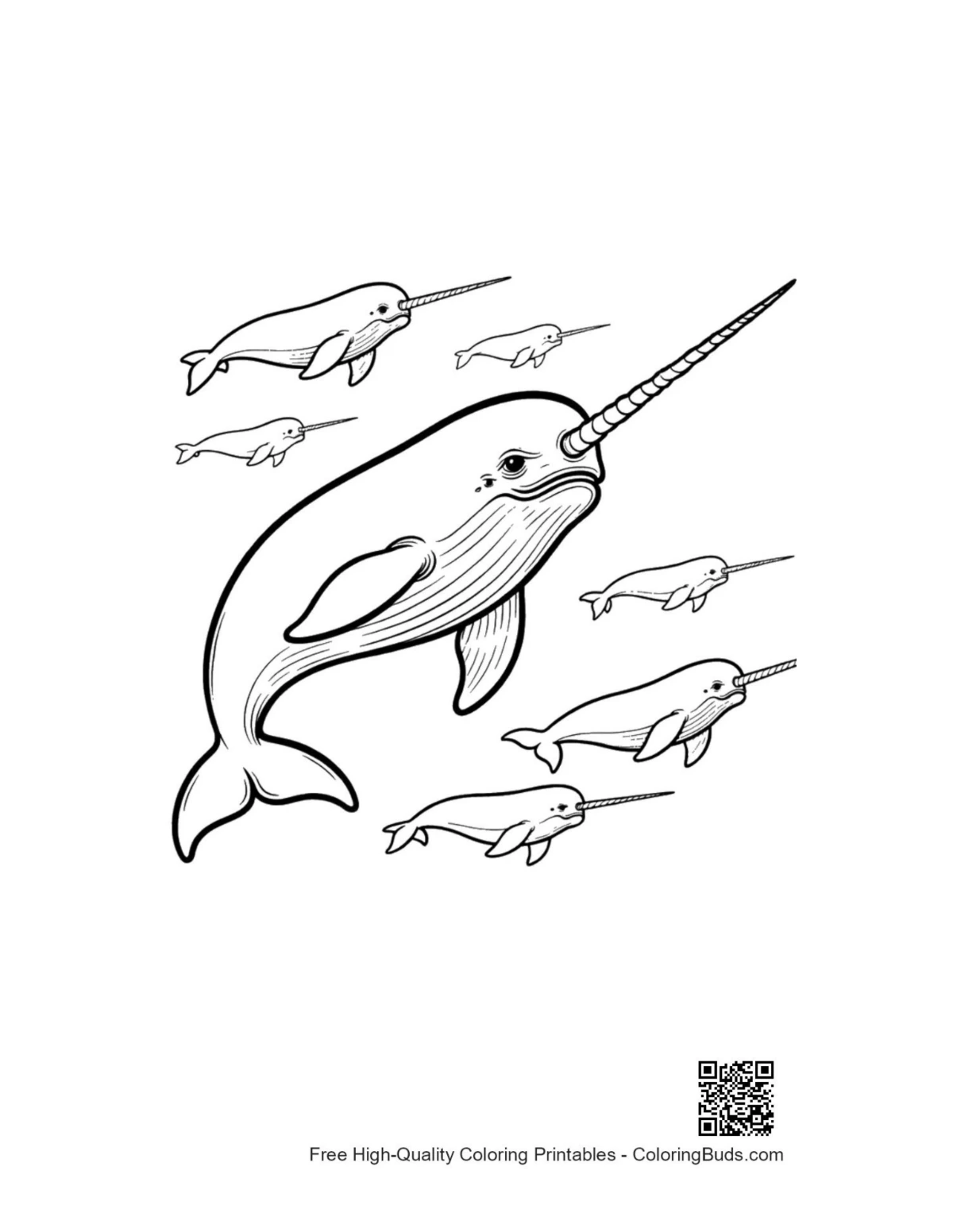 Playful narwhal family swimming coloring page