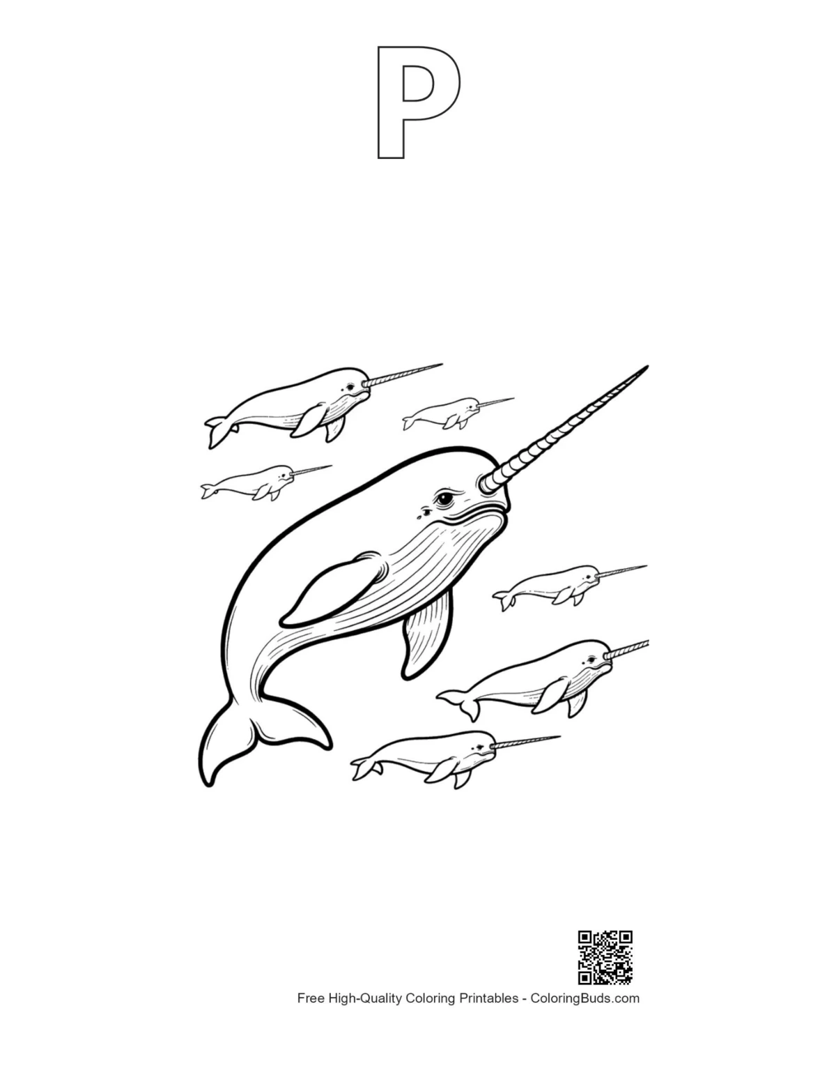 Narwhal family outline with alphabet P printable