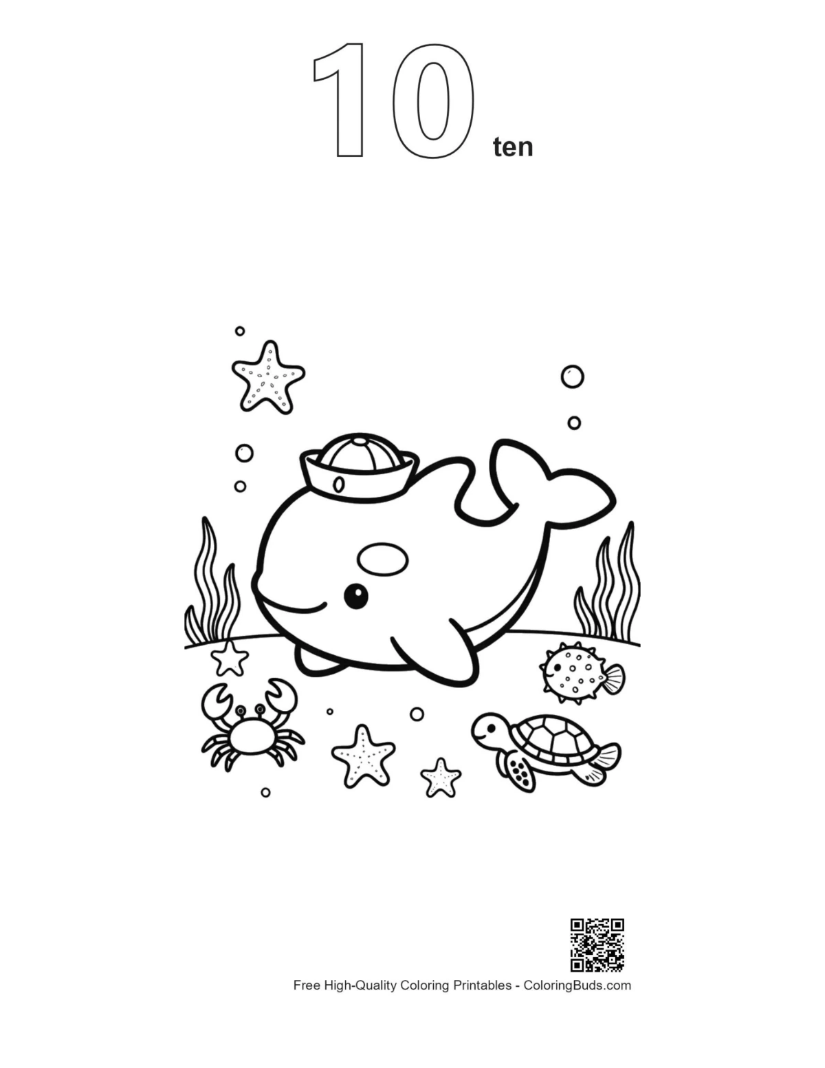 Orca printable outline numbered 10 coloring page