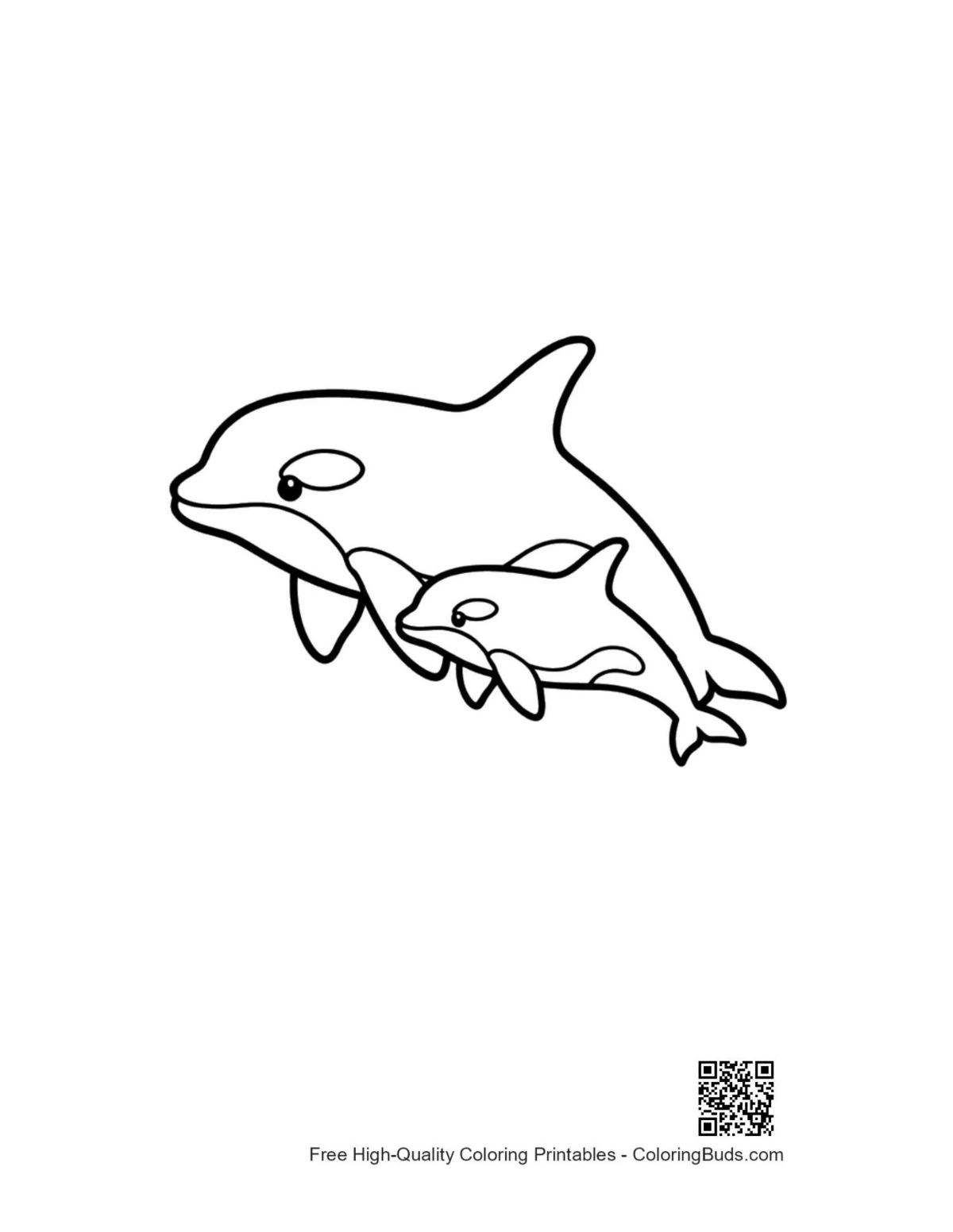 Mother orca carrying baby calf illustration