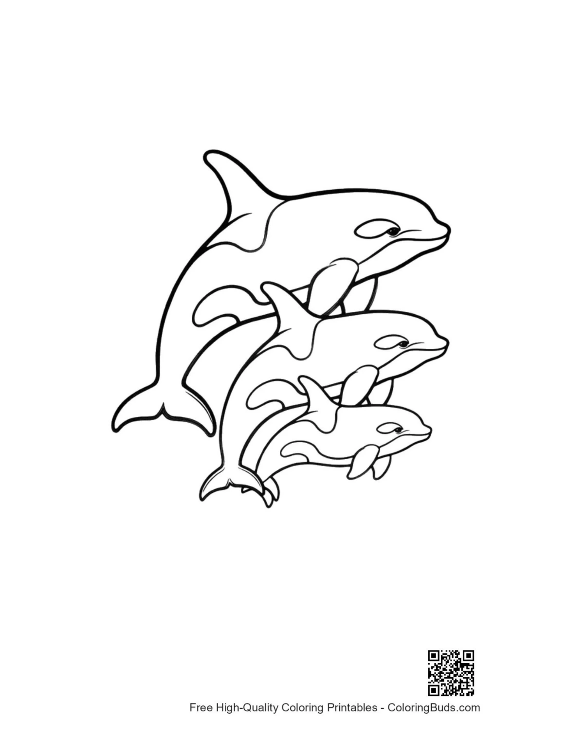 Orca family leaping together printable coloring page