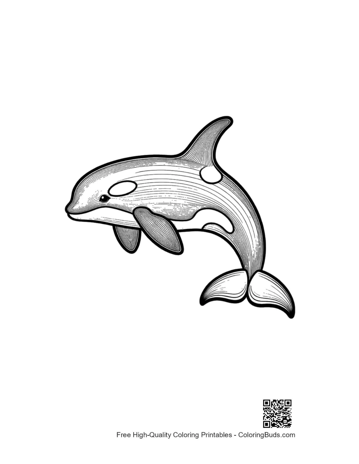 Playful orca leaping gracefully coloring page printable