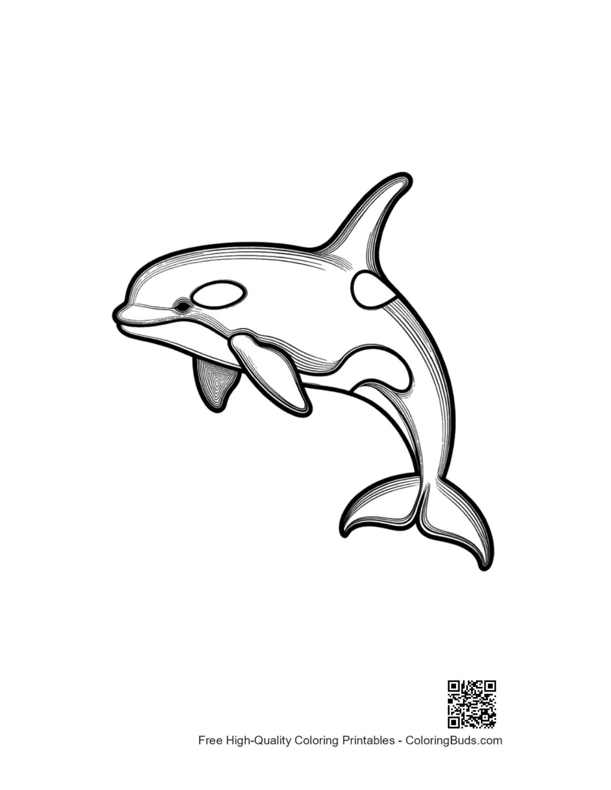 Playful orca leaping printable coloring page
