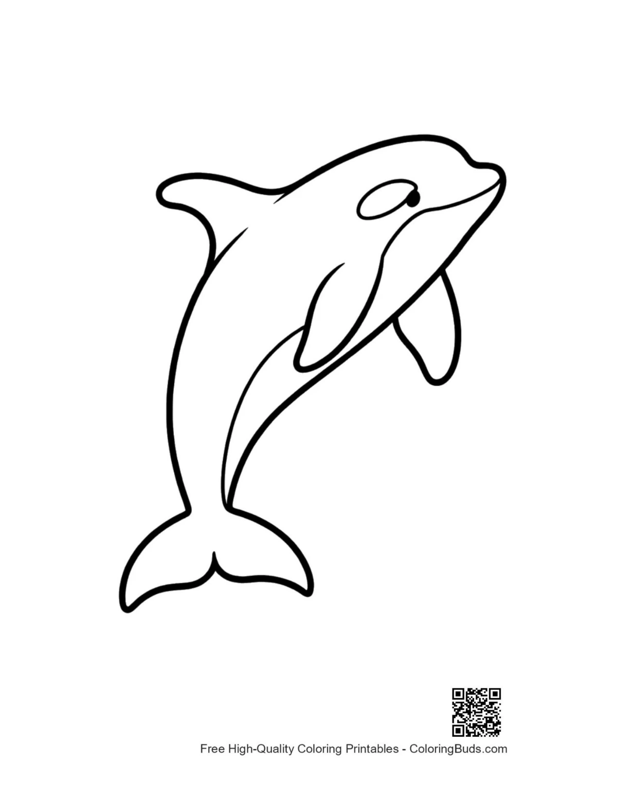 Playful orca leaping joyfully printable