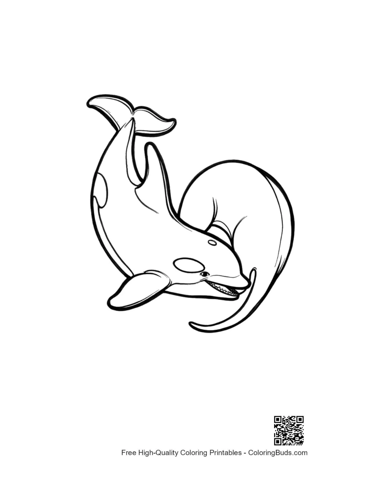 Playful orca whale outline for coloring page