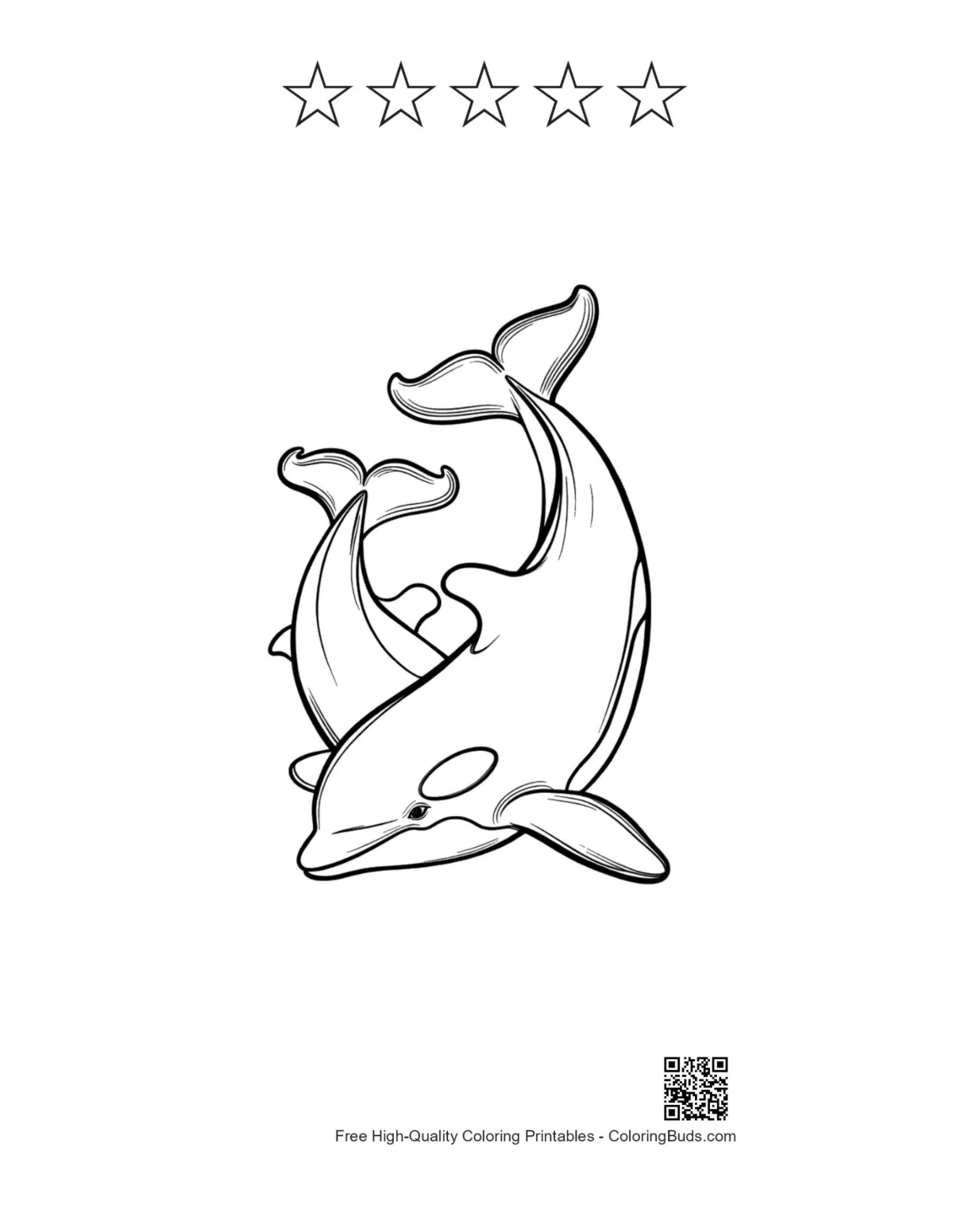 Orca graceful dance with 5 star outline printable