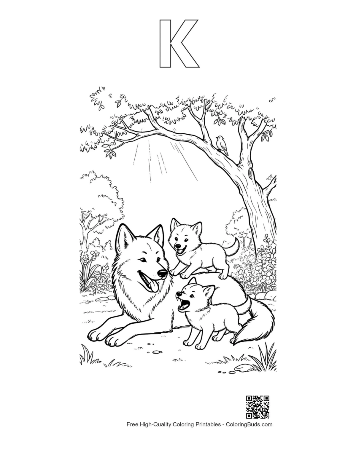 Gray wolf coloring page with alphabet K outline