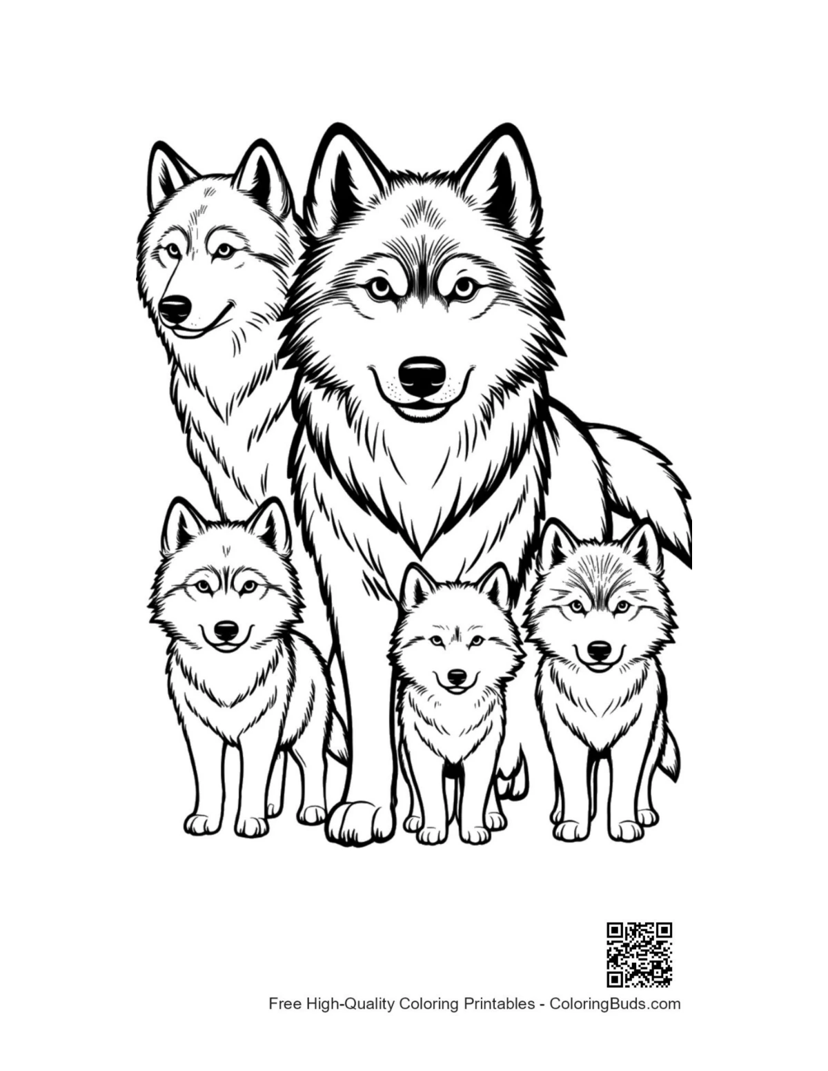 Gray wolf family standing together illustration