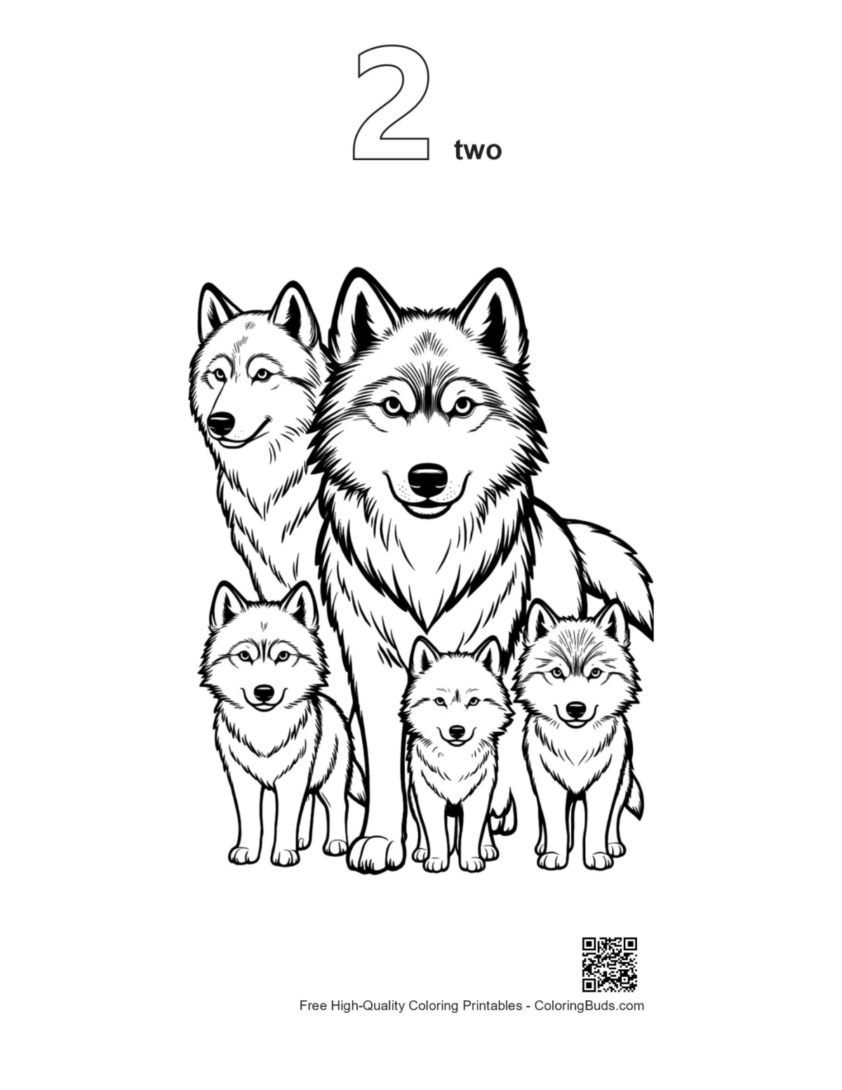Outline number 2 of gray wolf family standing together