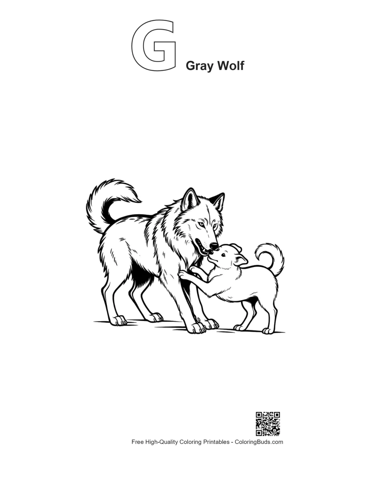 Outline gray wolf wrestling with alphabet G