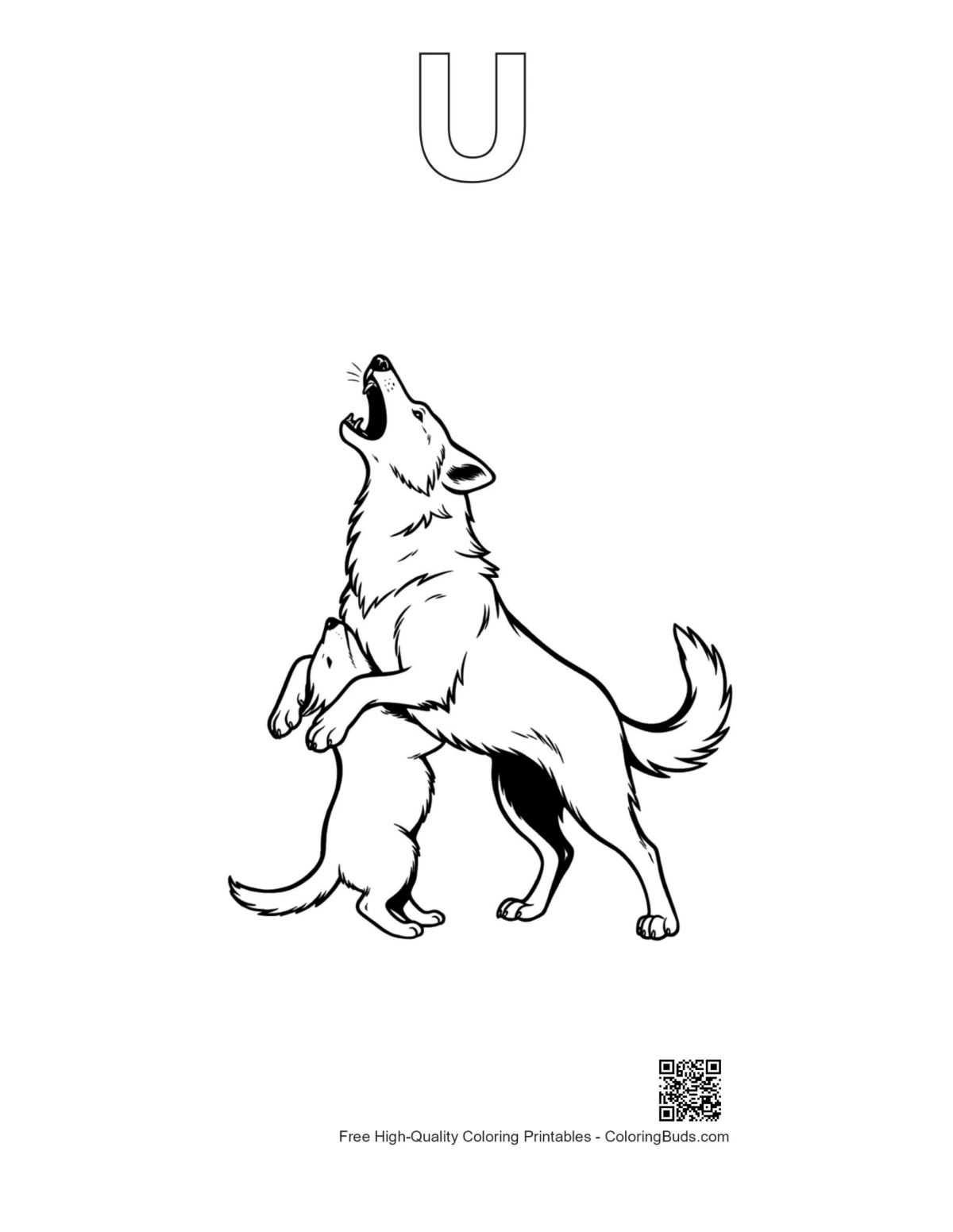 Howling wolf pup line art with U-shaped alphabet outline