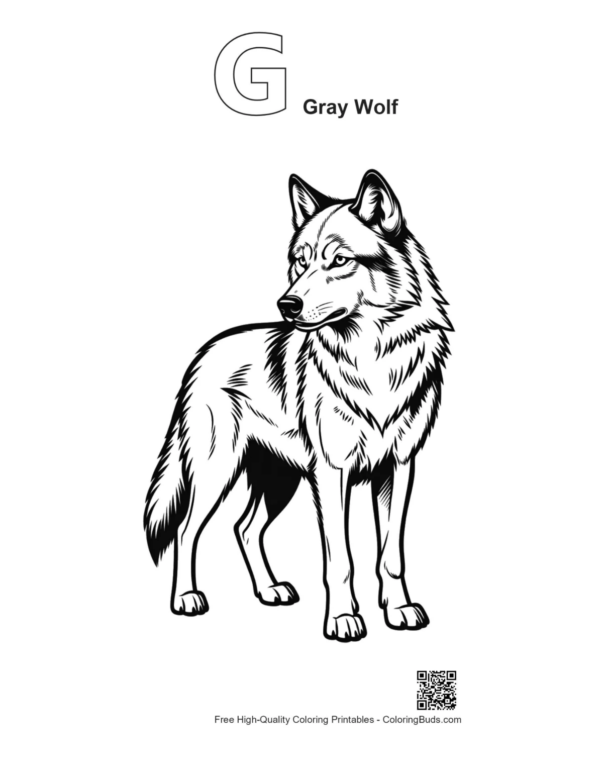 Gray wolf outline with alphabet G coloring page