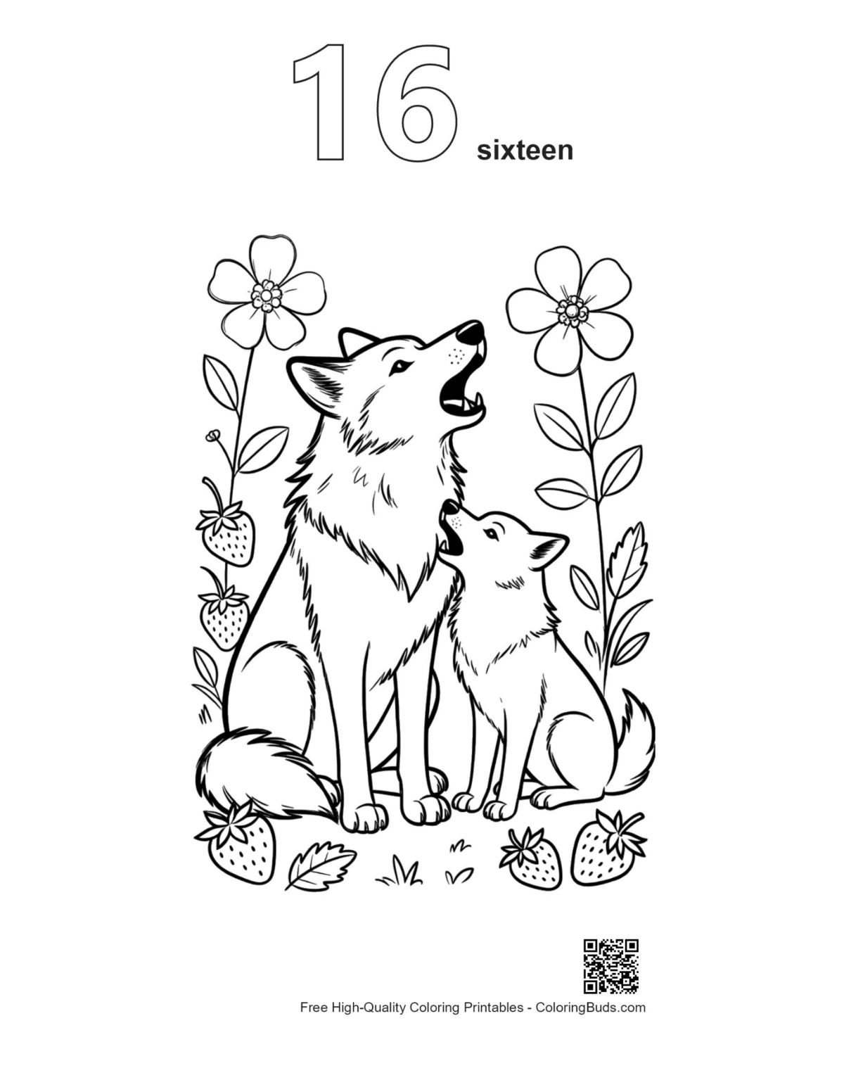 Number 16 outline mother wolf cub howling flowers