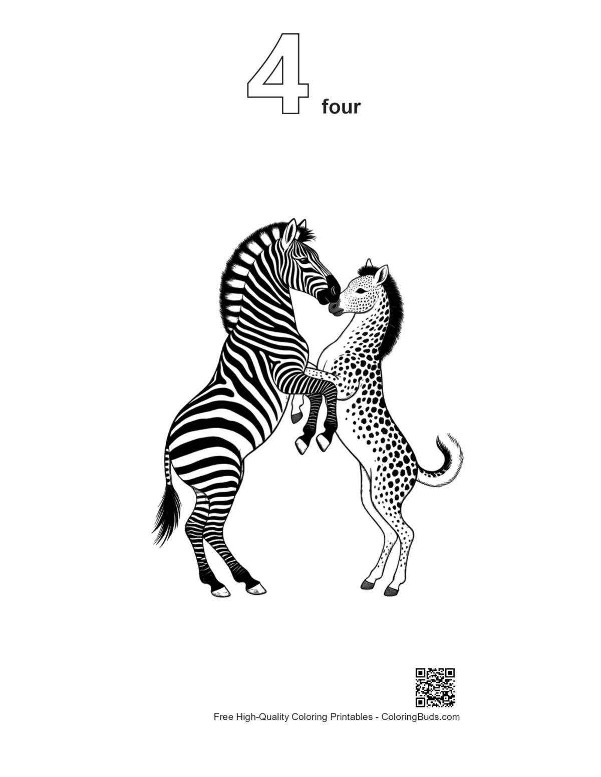 Zebra embrace outline with number 4